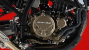 Close-up of a bronze-colored Rieju motorcycle engine with black hoses and a foot pedal against a red background.