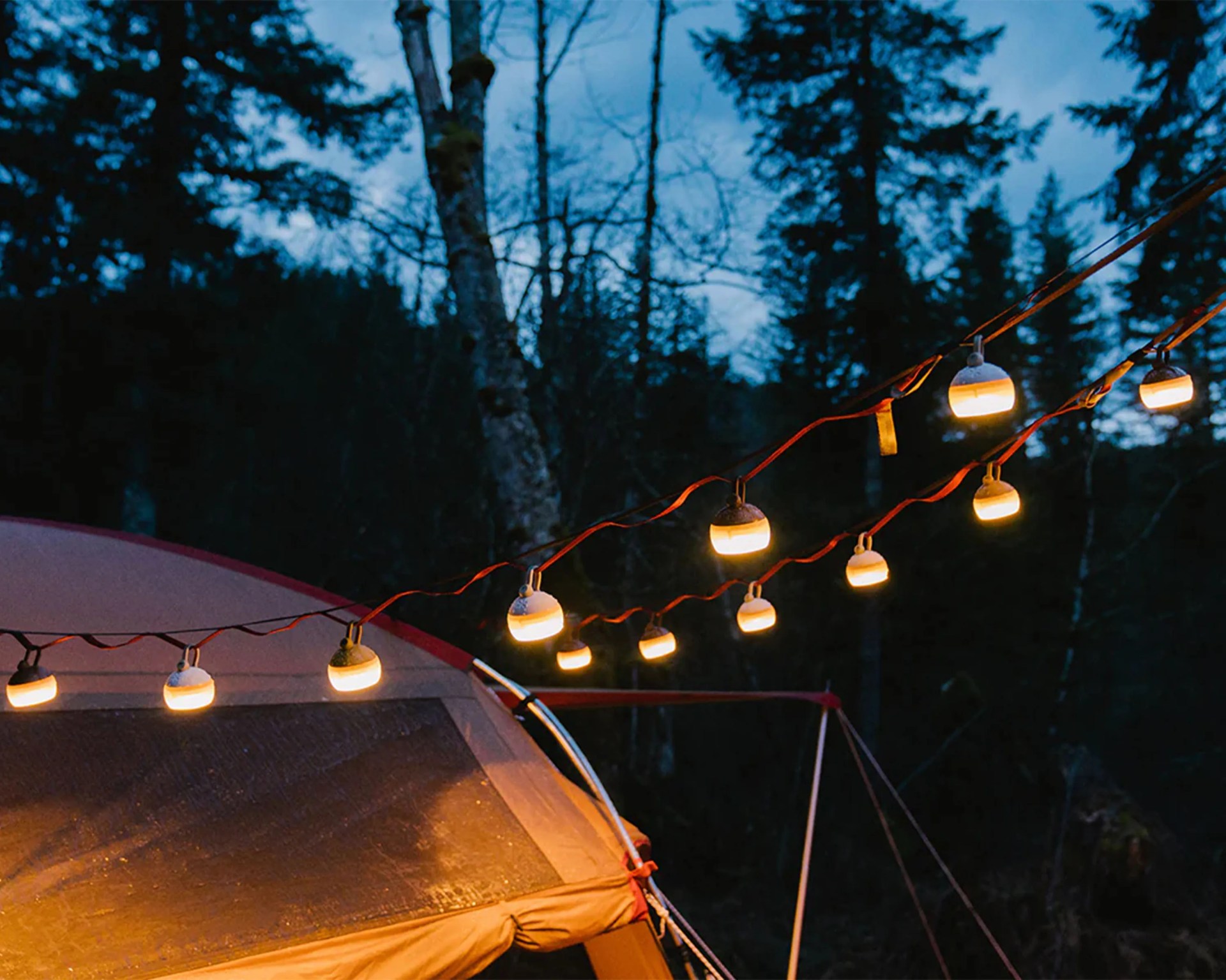 String of round warm white outdoor lights hanging above a tent at dusk in a forested area.