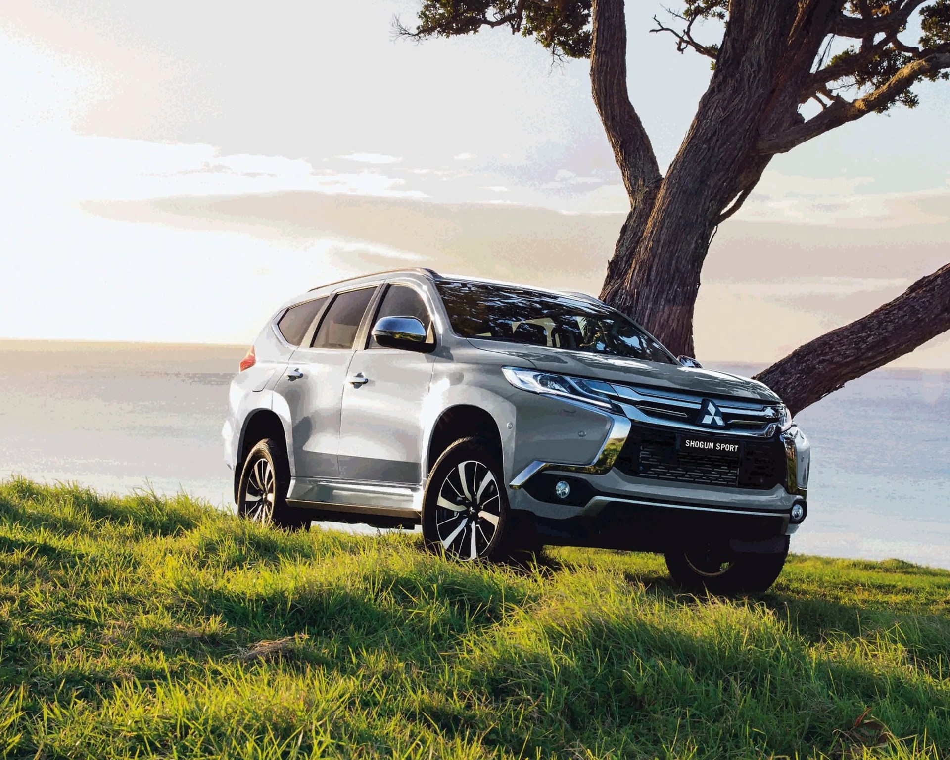 Silver Mitsubishi Shogun Sport SUV parked on grassy hill near a large tree with ocean in background.