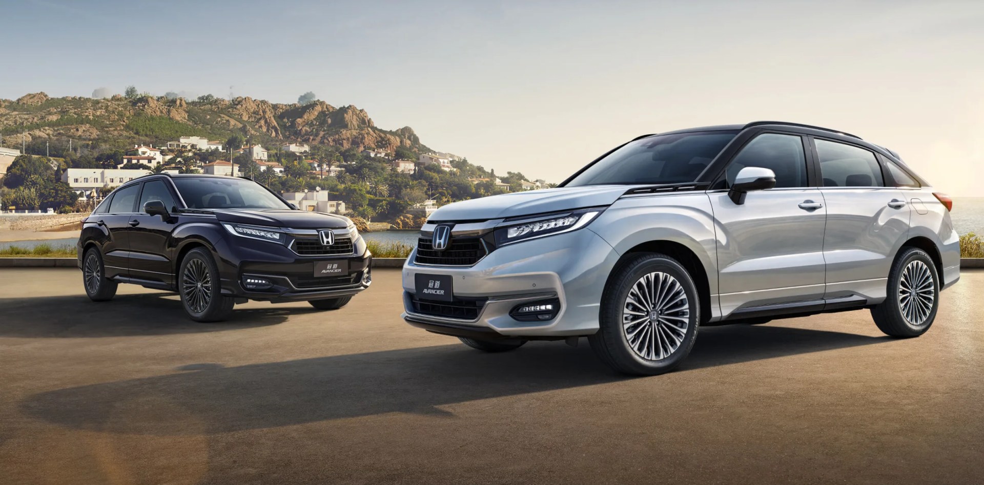 Two Honda Avancier SUVs, one silver and one black, parked on a paved area with hills and houses in the background.