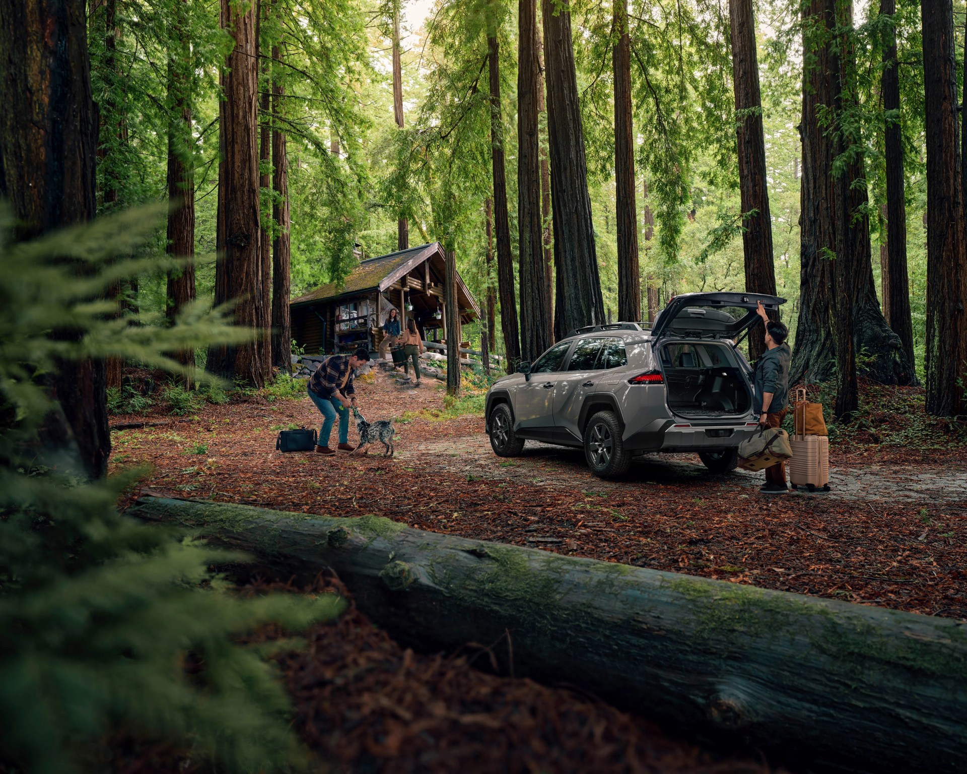 Silver SUV with open rear hatch parked on a forest path near a log cabin with people and a dog.