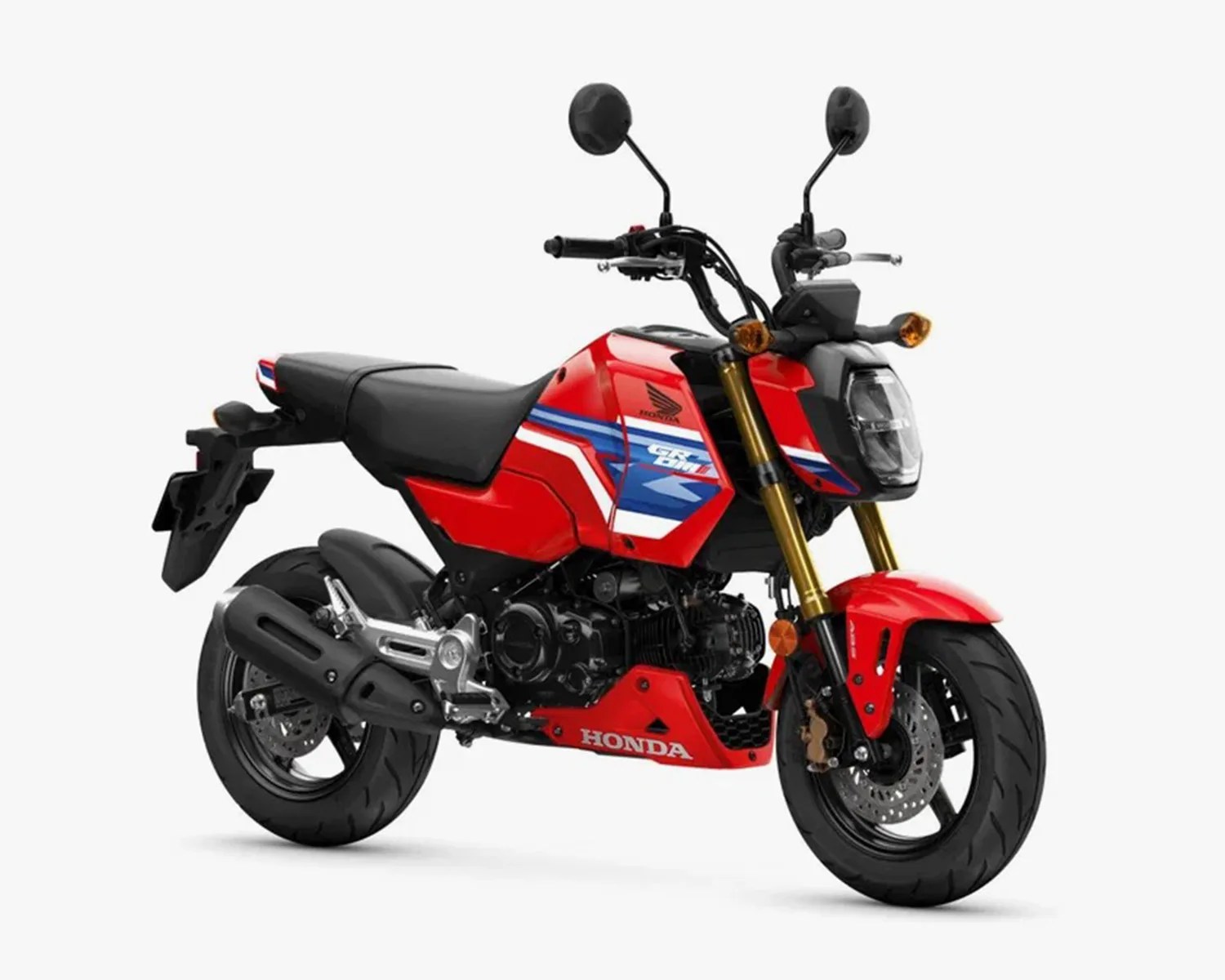 Red Honda Grom motorcycle with black seat, gold front forks, and blue and white racing stripes.
