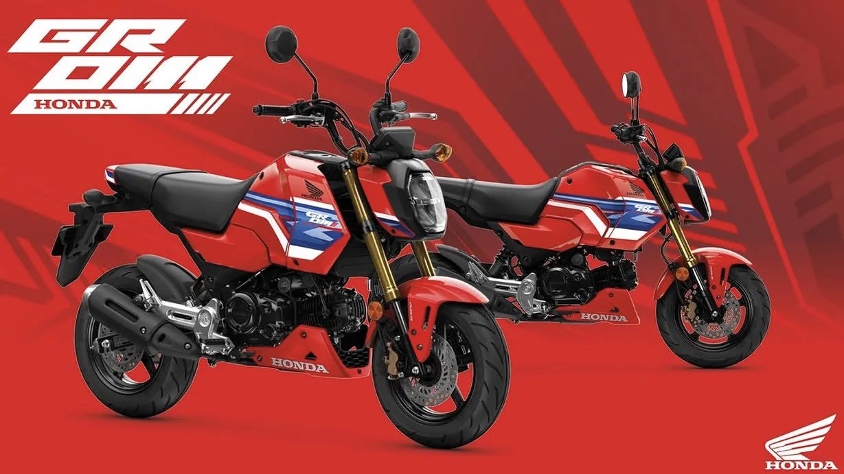 Two red Honda Grom motorcycles with black seats and blue-white racing stripes on a red background.