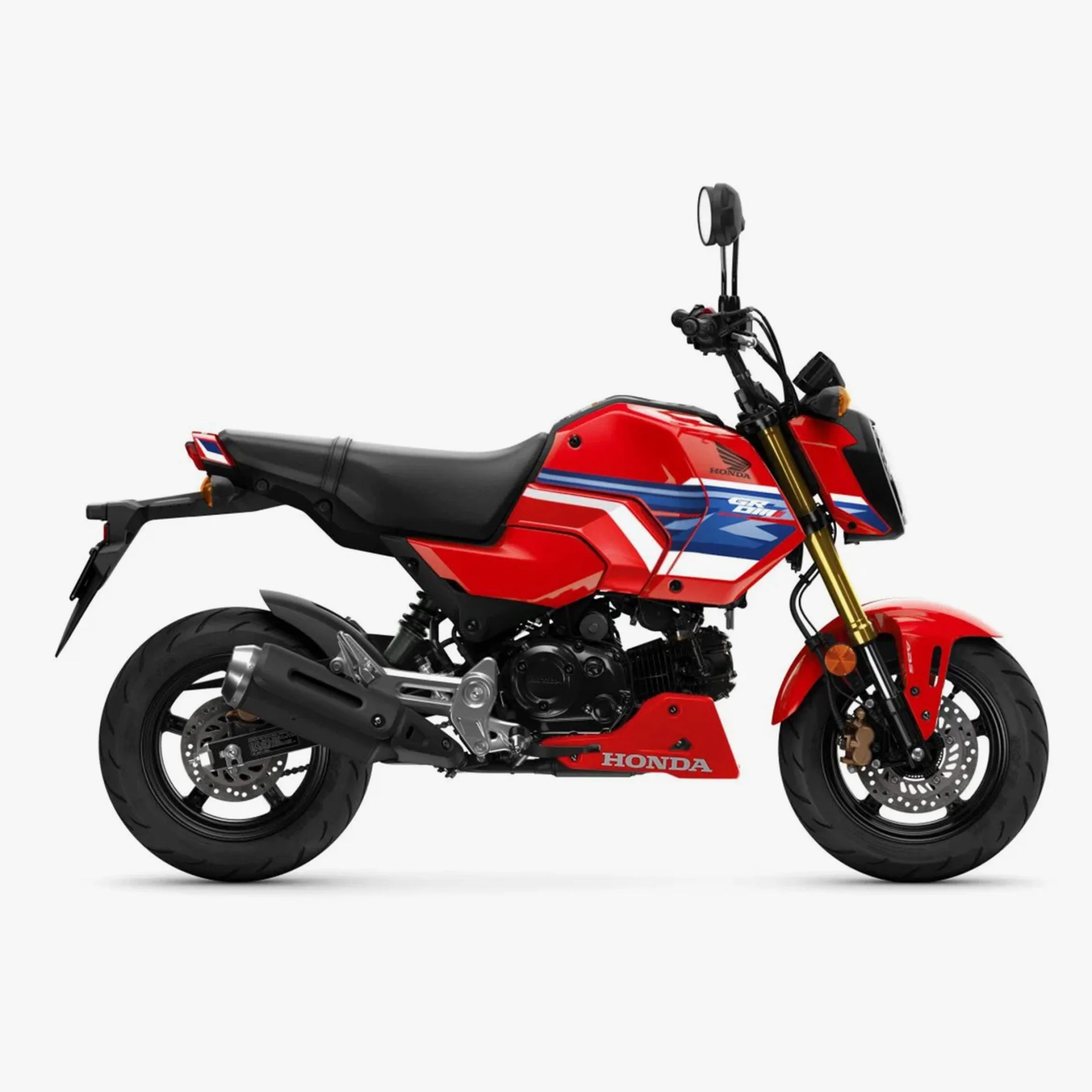 Red Honda motorcycle with black seat, gold front forks, and blue and white racing stripes on the fuel tank.