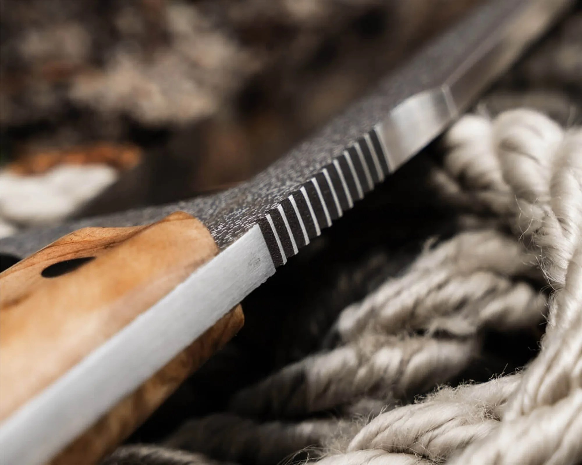 Close-up of a knife blade with a textured spine and a wooden handle resting on coiled rope.