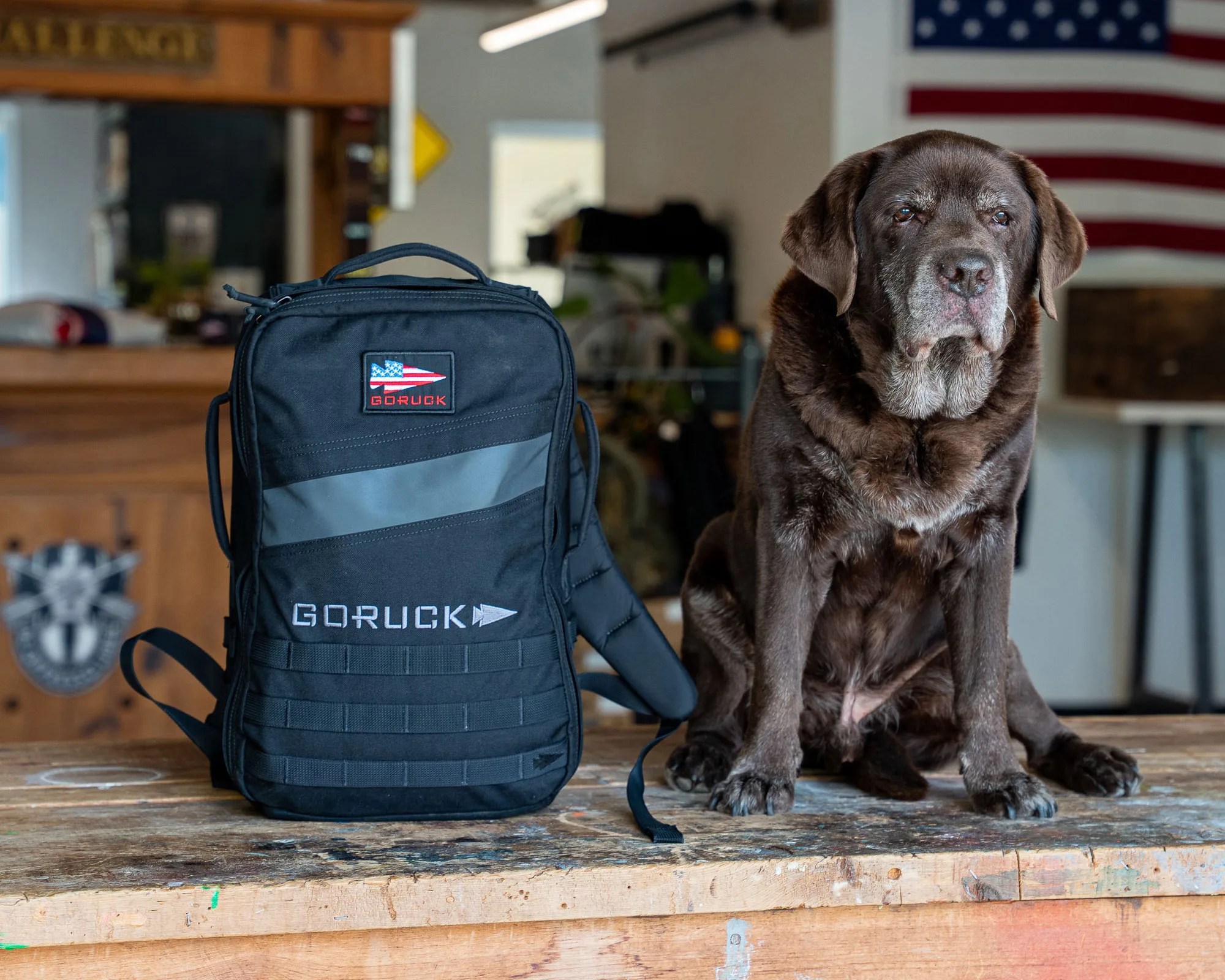 Black and gray GORUCK backpack on a wooden table next to a seated brown dog with a gray muzzle.