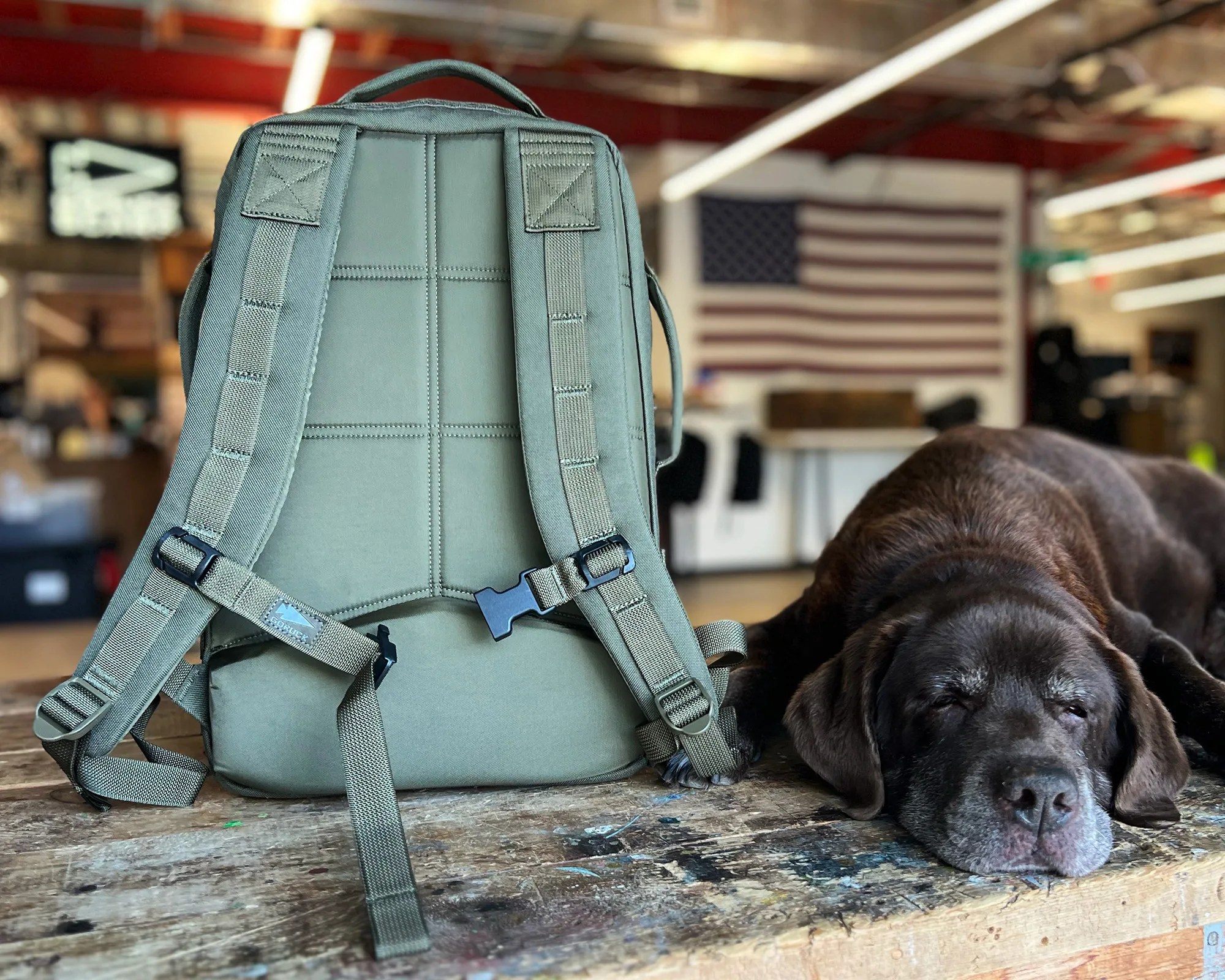 Olive green backpack with padded straps on a wooden table next to a resting dark brown dog.