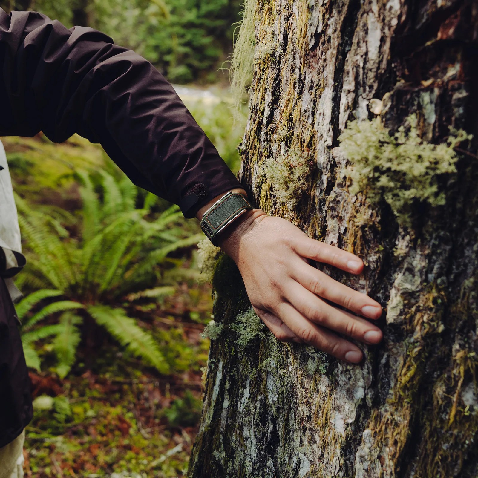 Hand wearing a green fabric wristband touching moss-covered tree bark in a forest.