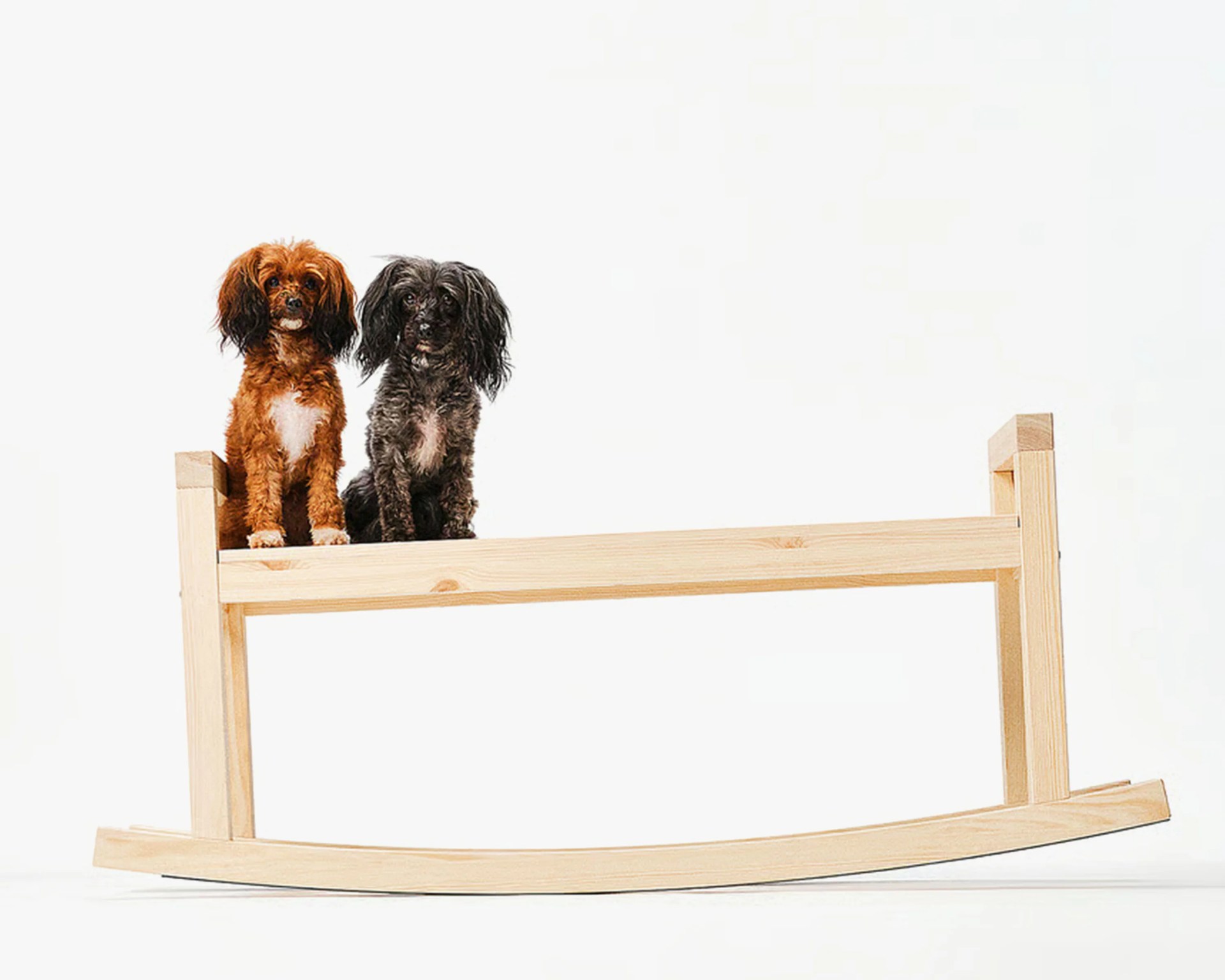 Two small dogs, one brown and one black, sitting on a light wooden rocking chair frame against a white background.