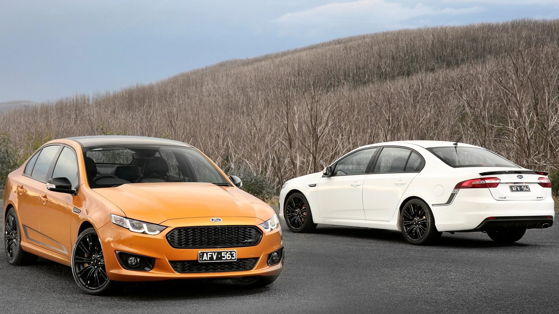 Orange and white Ford sedans with black wheels parked on a road with leafless trees in the background.