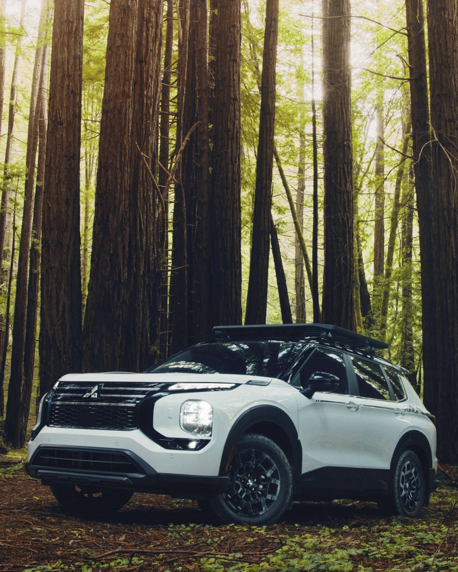 White Mitsubishi SUV with black roof rack parked in a dense forest with tall trees.