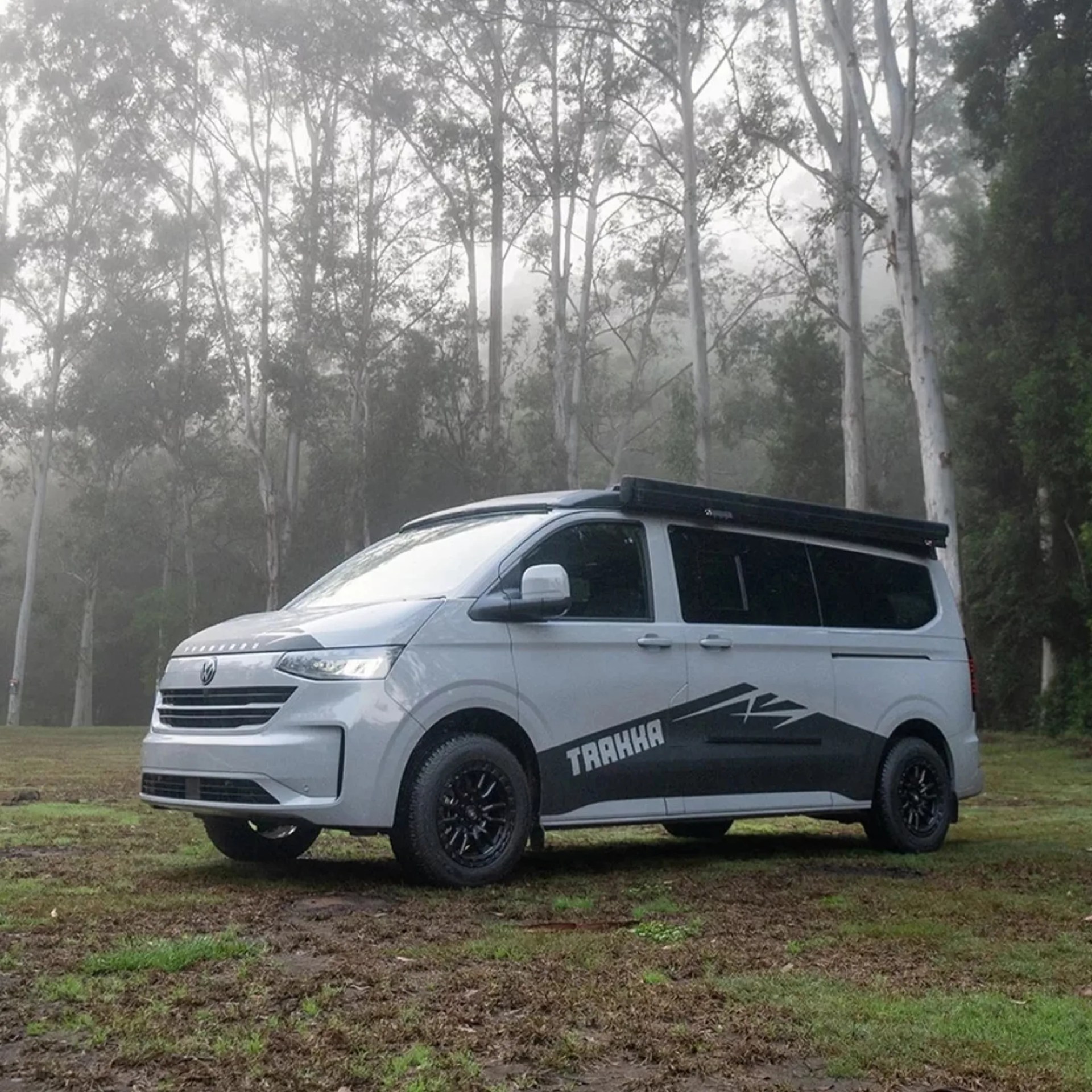 White Volkswagen camper van with black roof rack and black wheels parked on grassy ground with tall trees in the background.