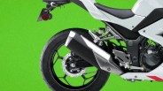 Rear section of a white motorcycle showing black rear tire, silver exhaust, and foot pegs against a green background.