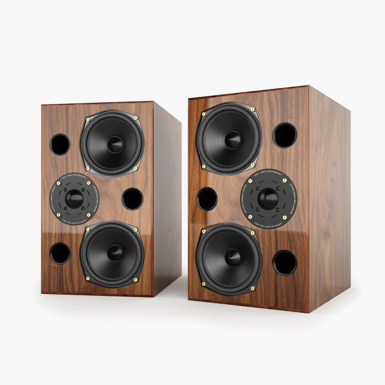 Pair of wooden bookshelf speakers with black drivers and circular ports on the front panel.