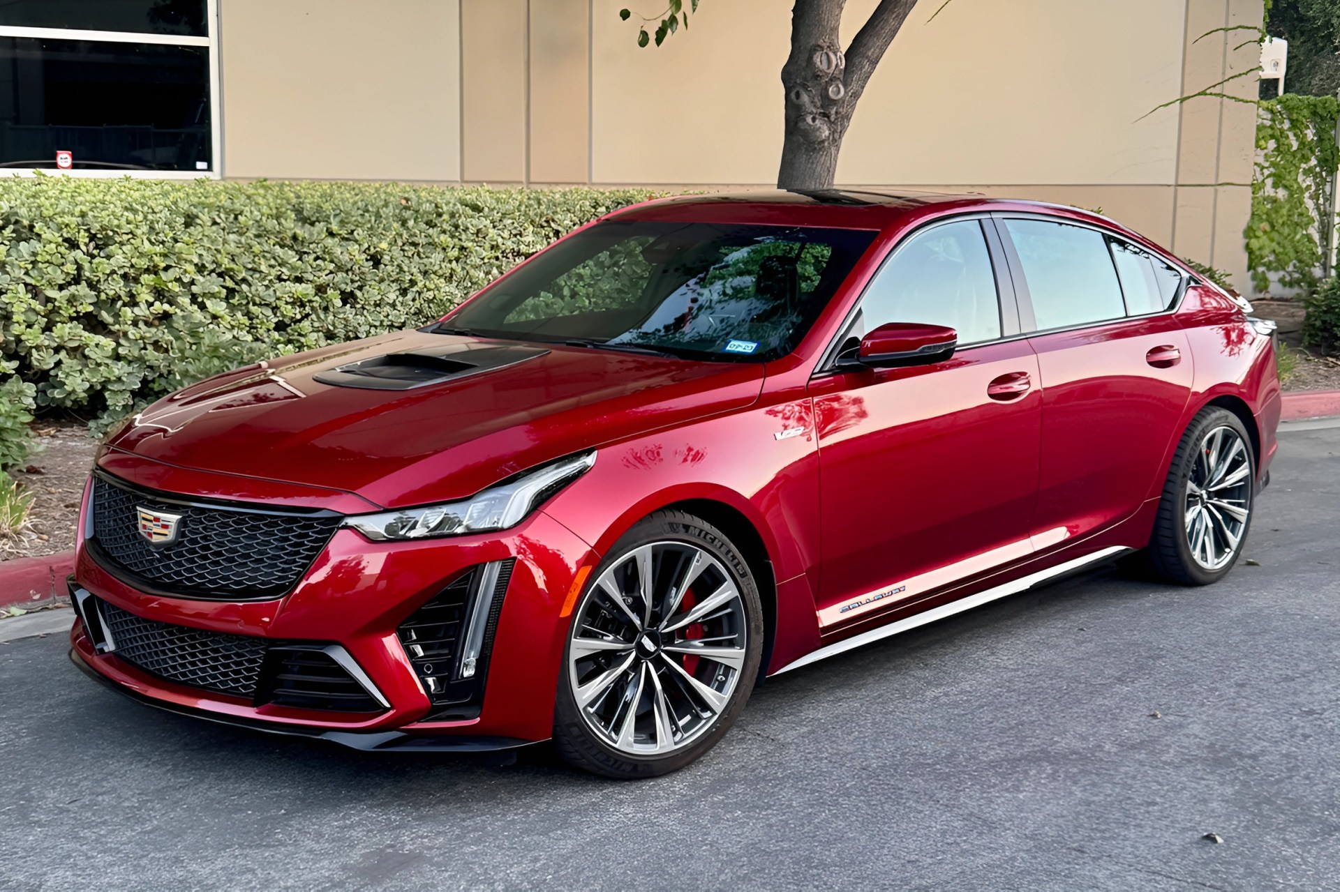 Red Cadillac CT5-V sedan with black grille and multi-spoke alloy wheels parked on a street.