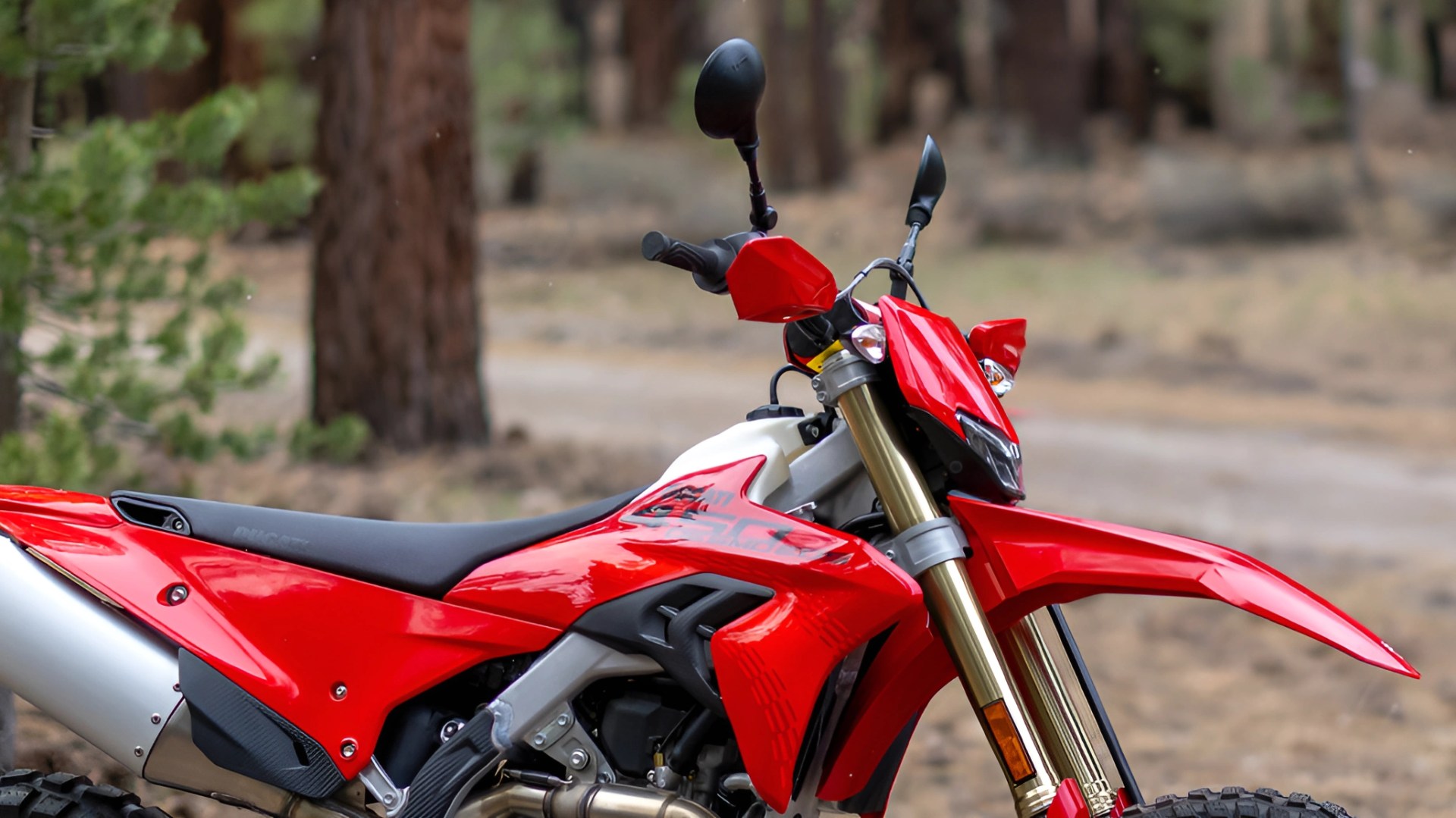 Red and black off-road motorcycle with gold front forks and rear exhaust in a forest setting.