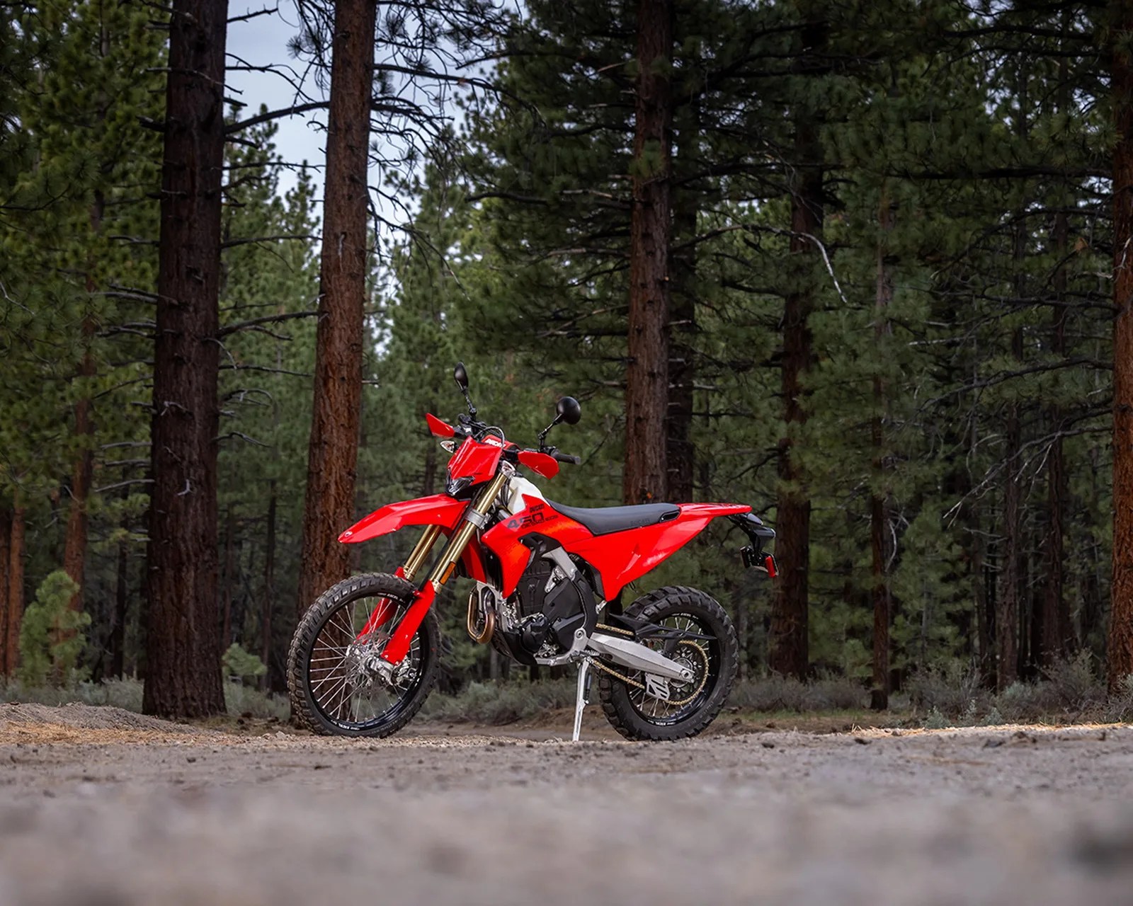 Red off-road motorcycle with knobby tires parked on a dirt path in a forest.