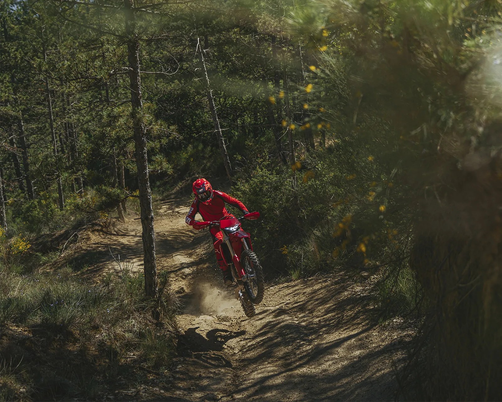 Person in red gear riding a red dirt bike on a forest trail kicking up dust.
