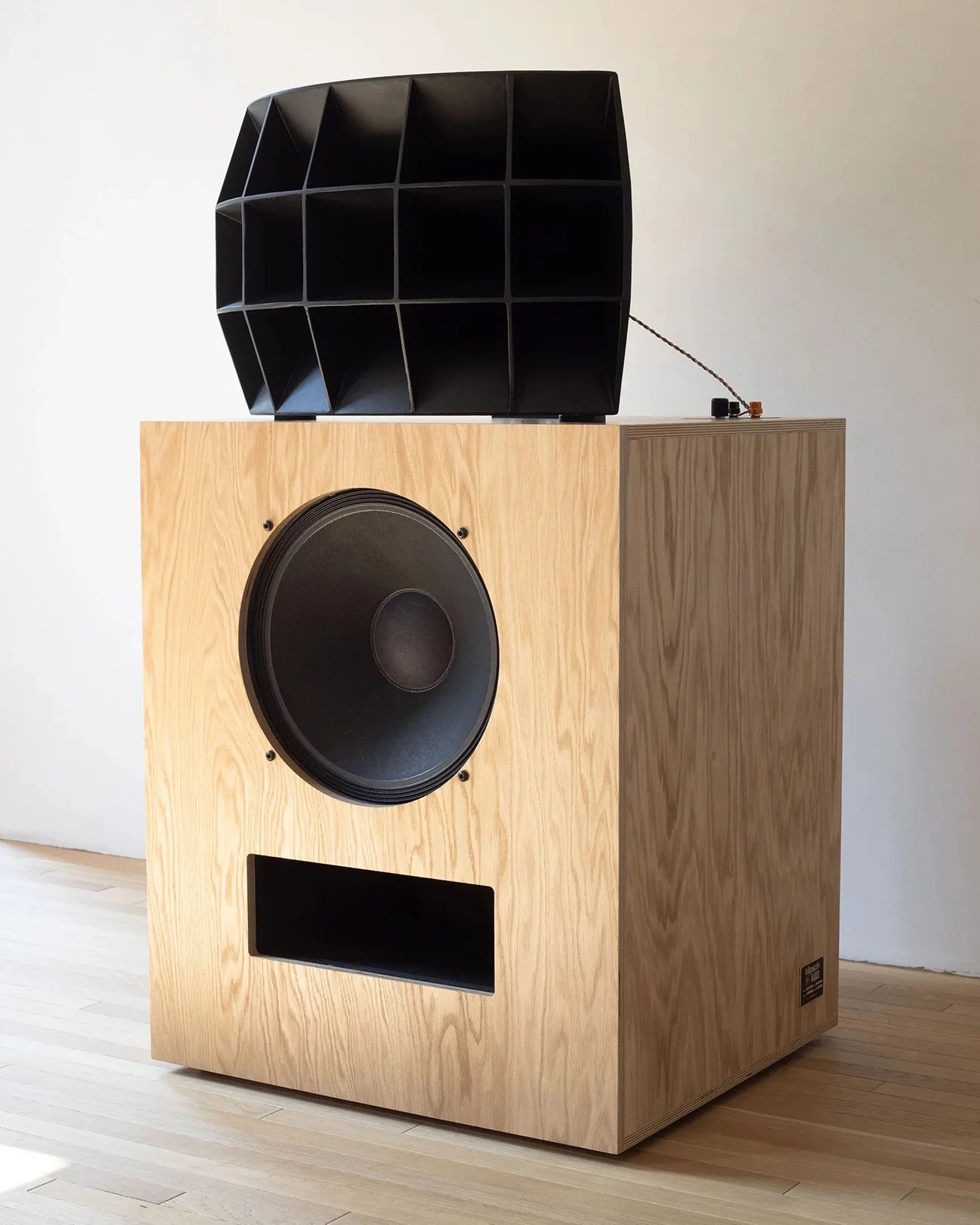 Large wooden speaker cabinet with a black horn-loaded tweeter on top and a large woofer on the front.