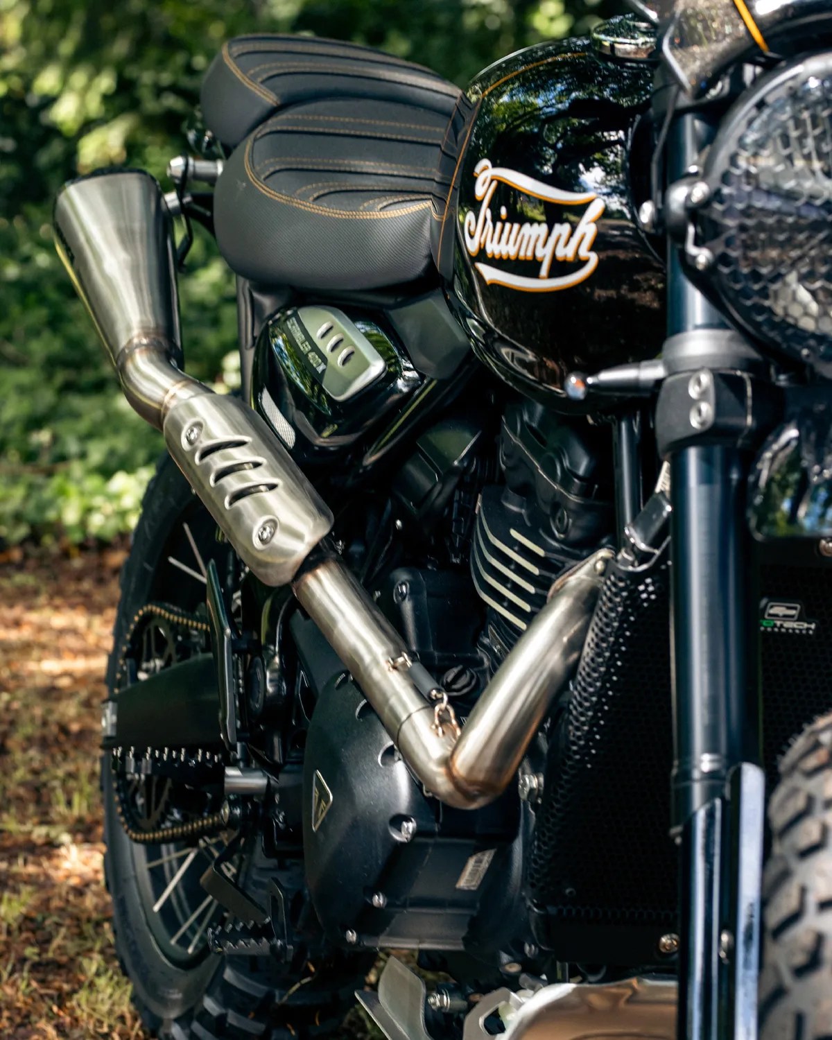 Close-up of a black Triumph motorcycle showing the seat, exhaust pipe, and engine details with a forest background.