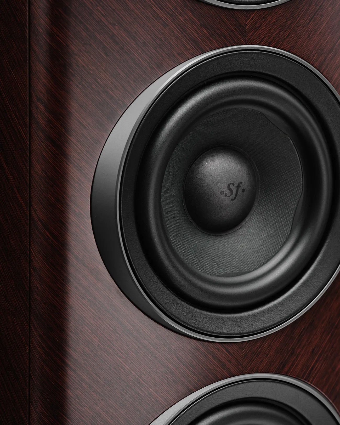 Close-up of black speaker drivers on a dark wood grain speaker cabinet.