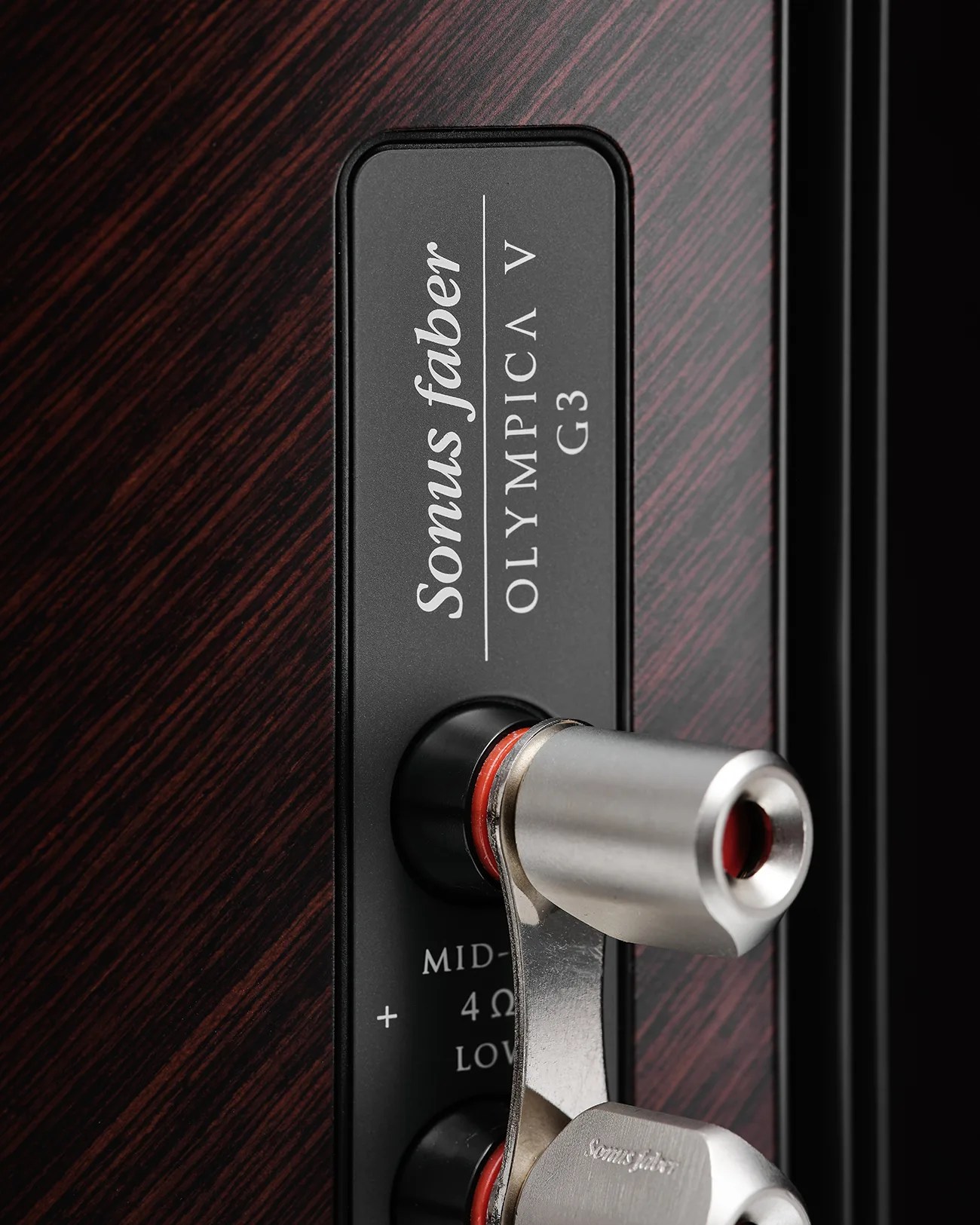 Close-up of Sonus faber Olympica V G3 speaker terminal with metal binding posts on dark wood finish.
