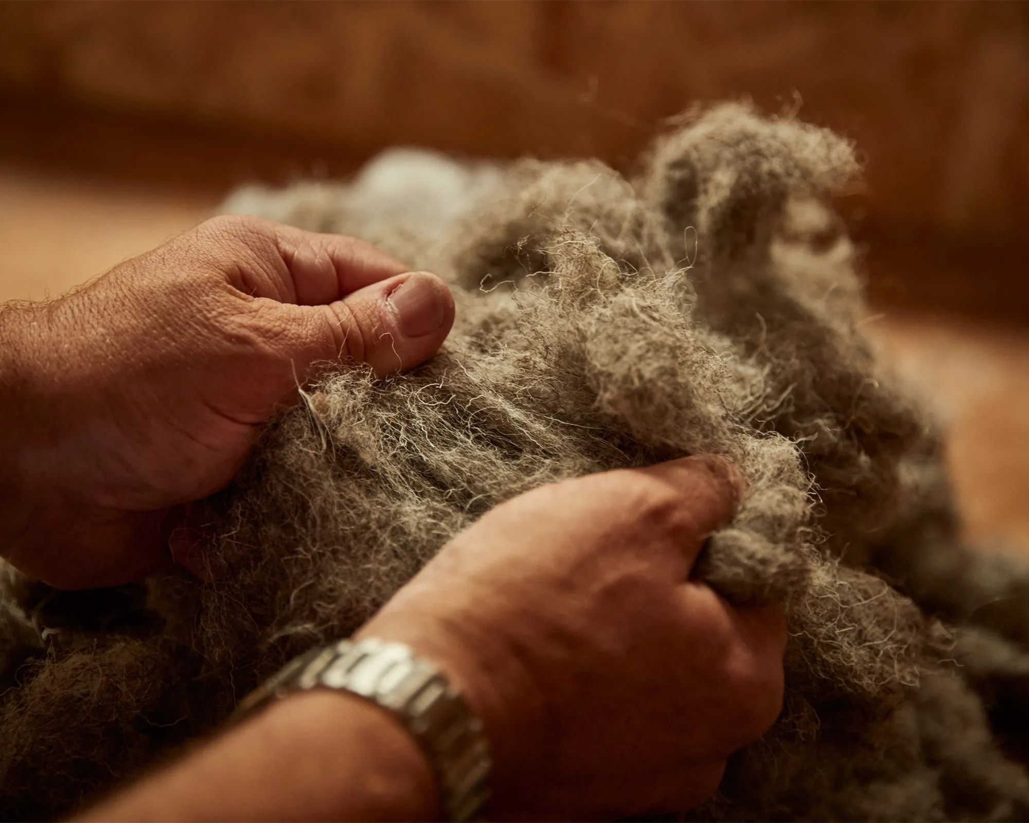 Hands holding and examining raw wool fibers with a blurred brown background.