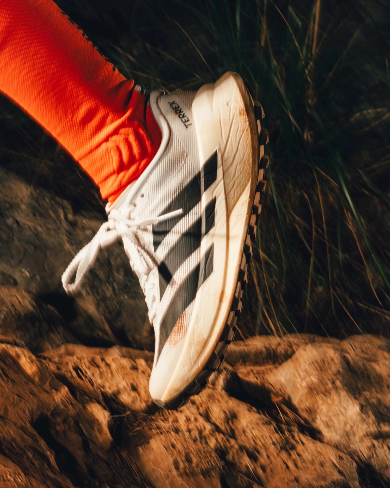 White and black trail running shoe with "TERREX" branding worn with bright orange socks on rocky terrain.