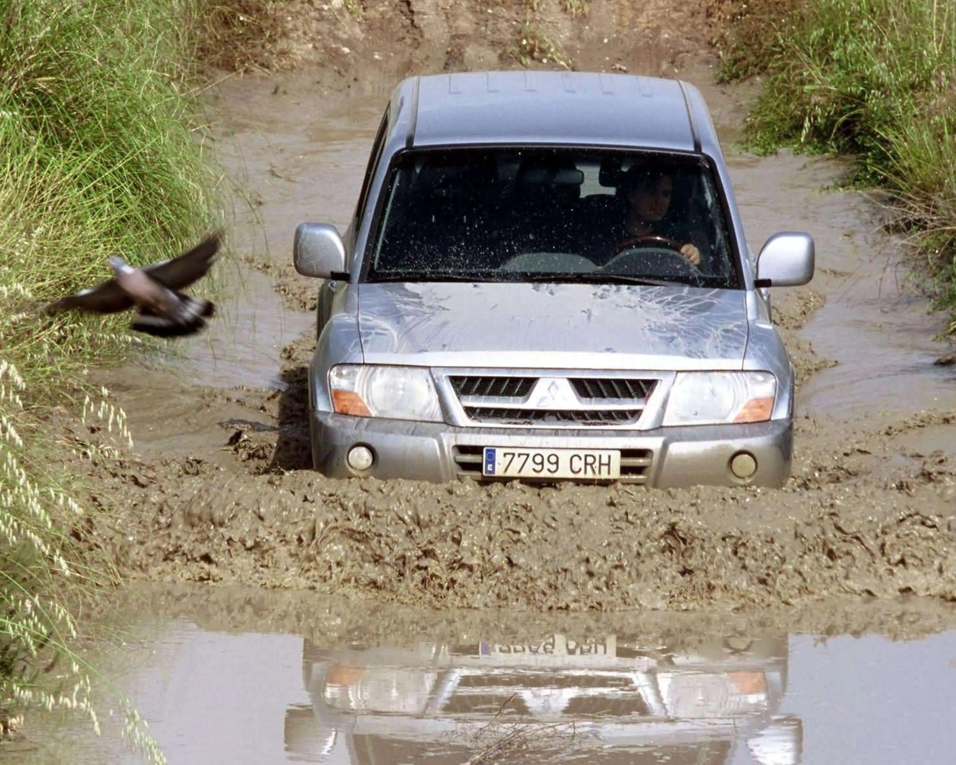 Silver Mitsubishi SUV driving through deep muddy water on an off-road trail with a bird flying nearby.