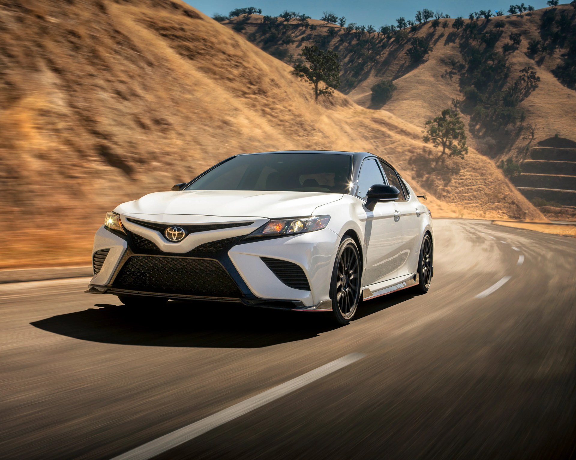 White Toyota sedan with black roof and wheels driving on a winding road through dry, hilly terrain.