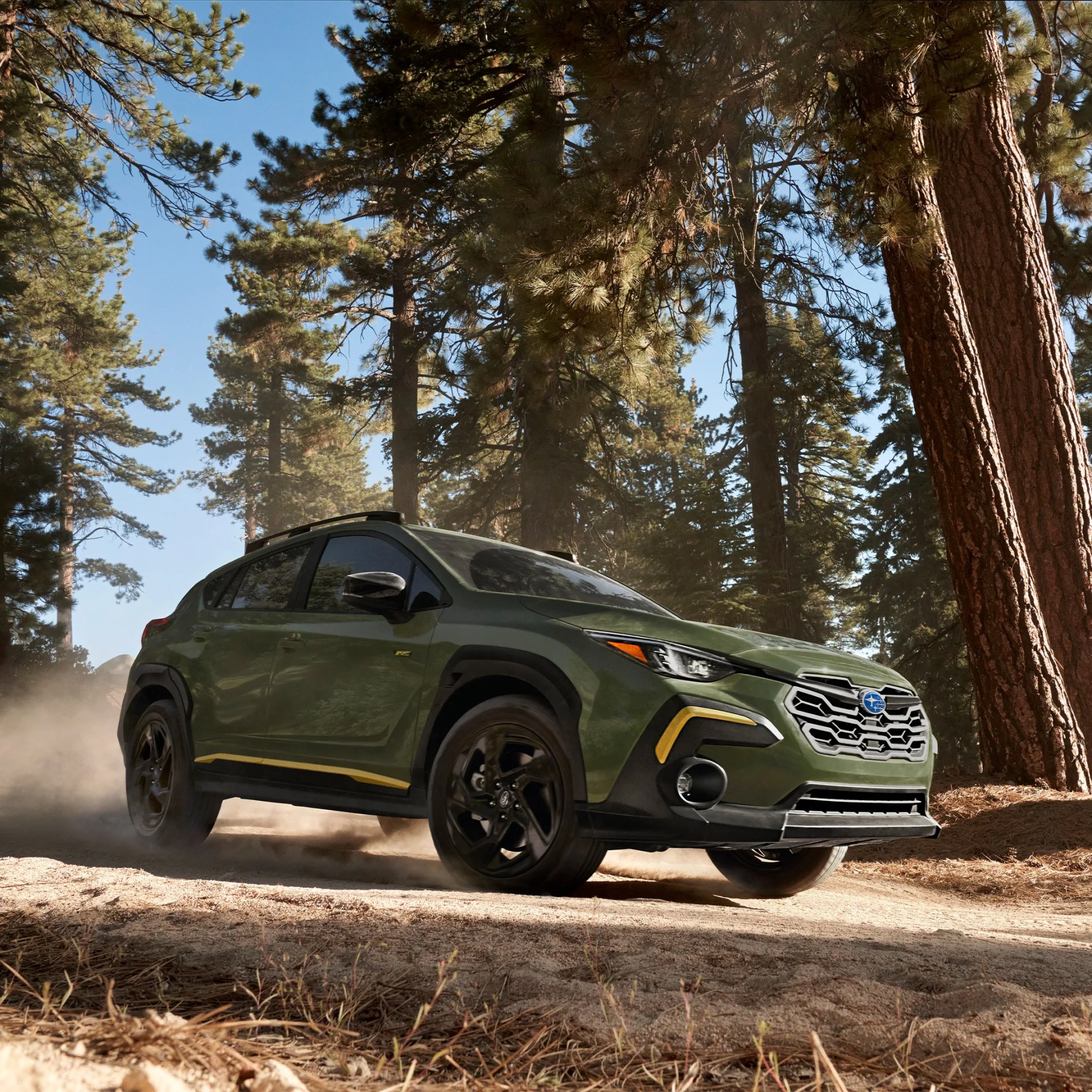 Green Subaru SUV with black wheels driving on a dusty dirt road surrounded by tall pine trees.
