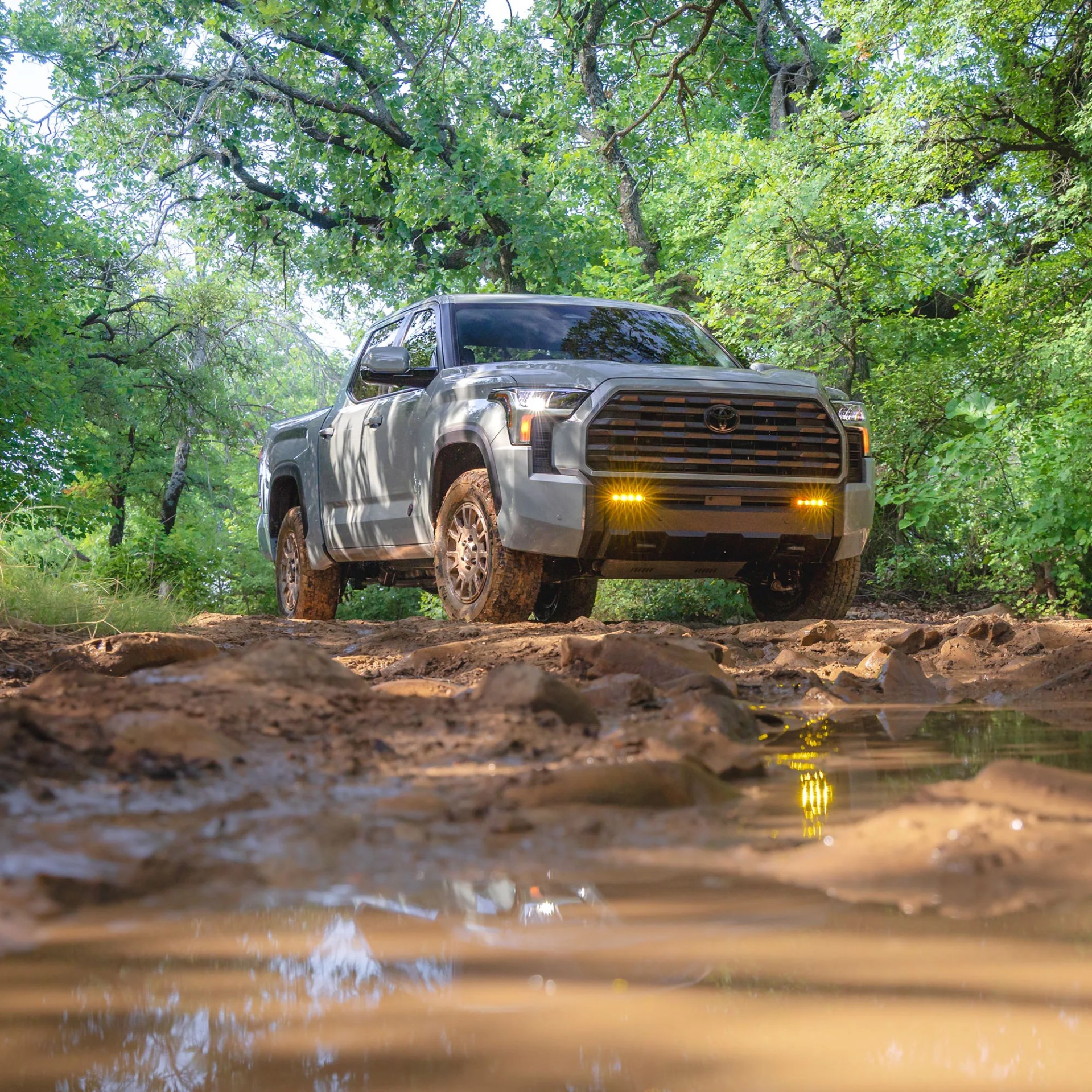 Silver Toyota pickup truck with muddy tires on a rocky dirt path in a green forest.