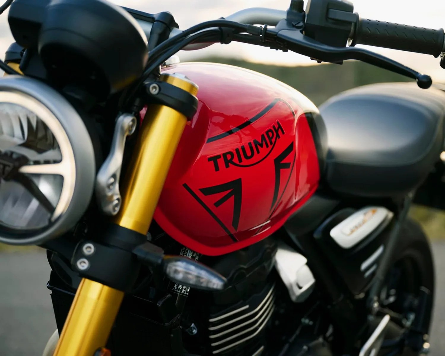Close-up of a red Triumph motorcycle fuel tank with black graphics and gold front fork.