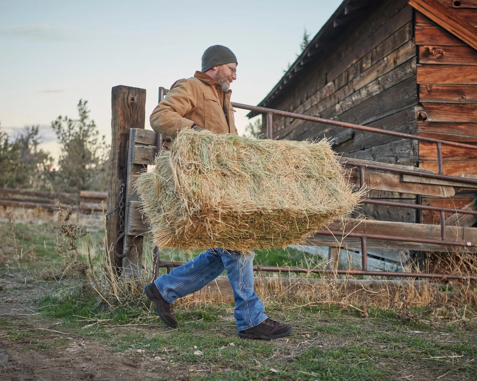 Man in a brown jacket and gray beanie carrying a large bale of hay near a wooden barn.