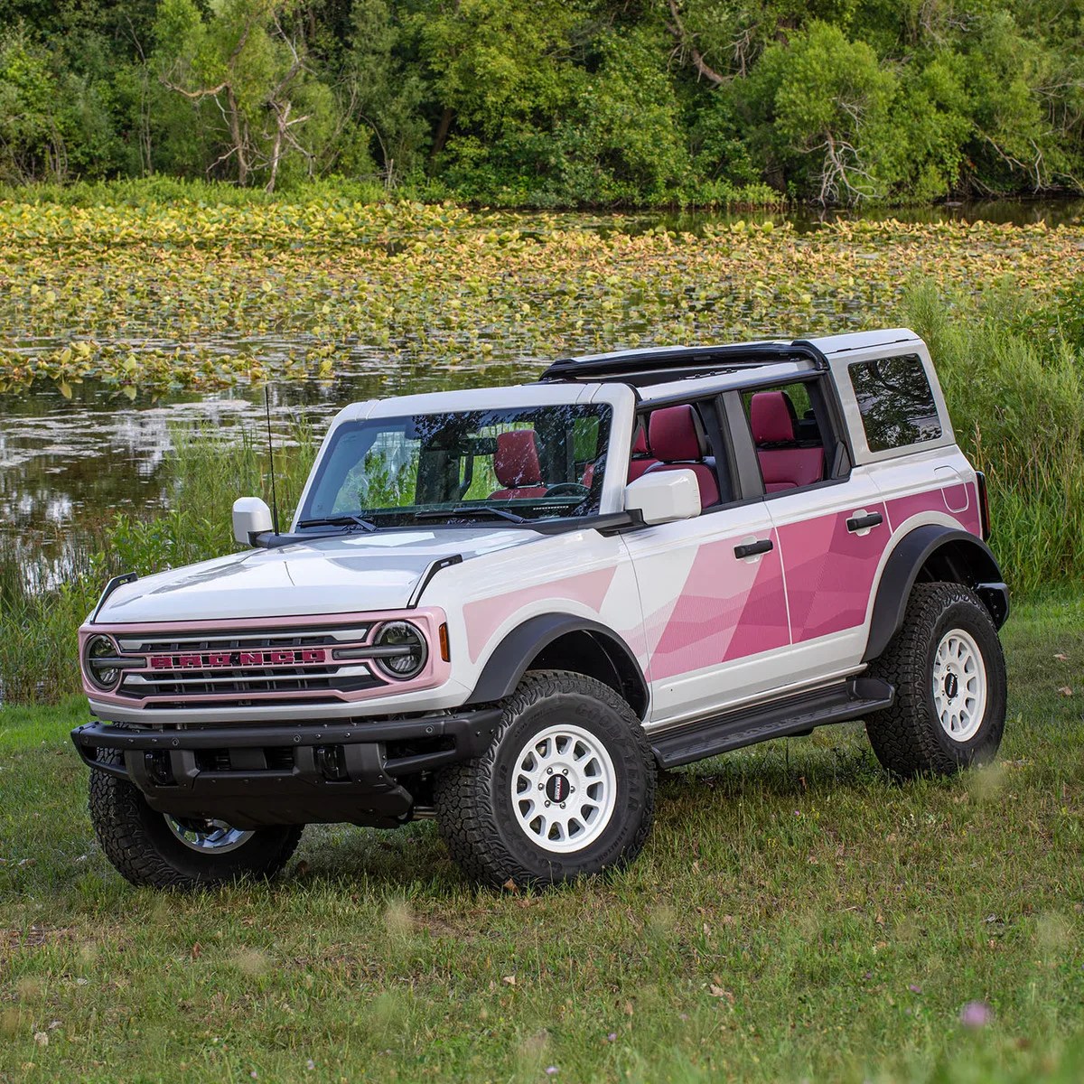 White and pink Ford Bronco SUV with open roof parked on grass near a pond with lily pads.