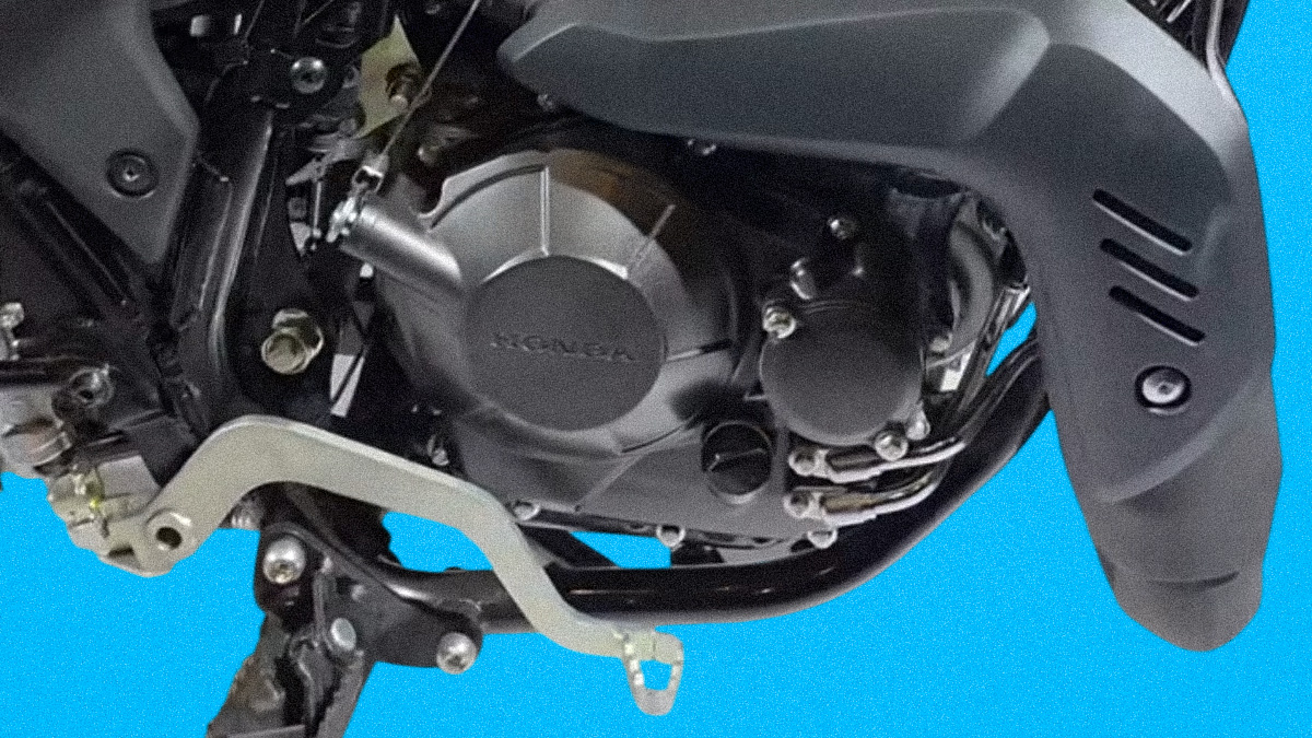 Honda XR300L motor bloğu