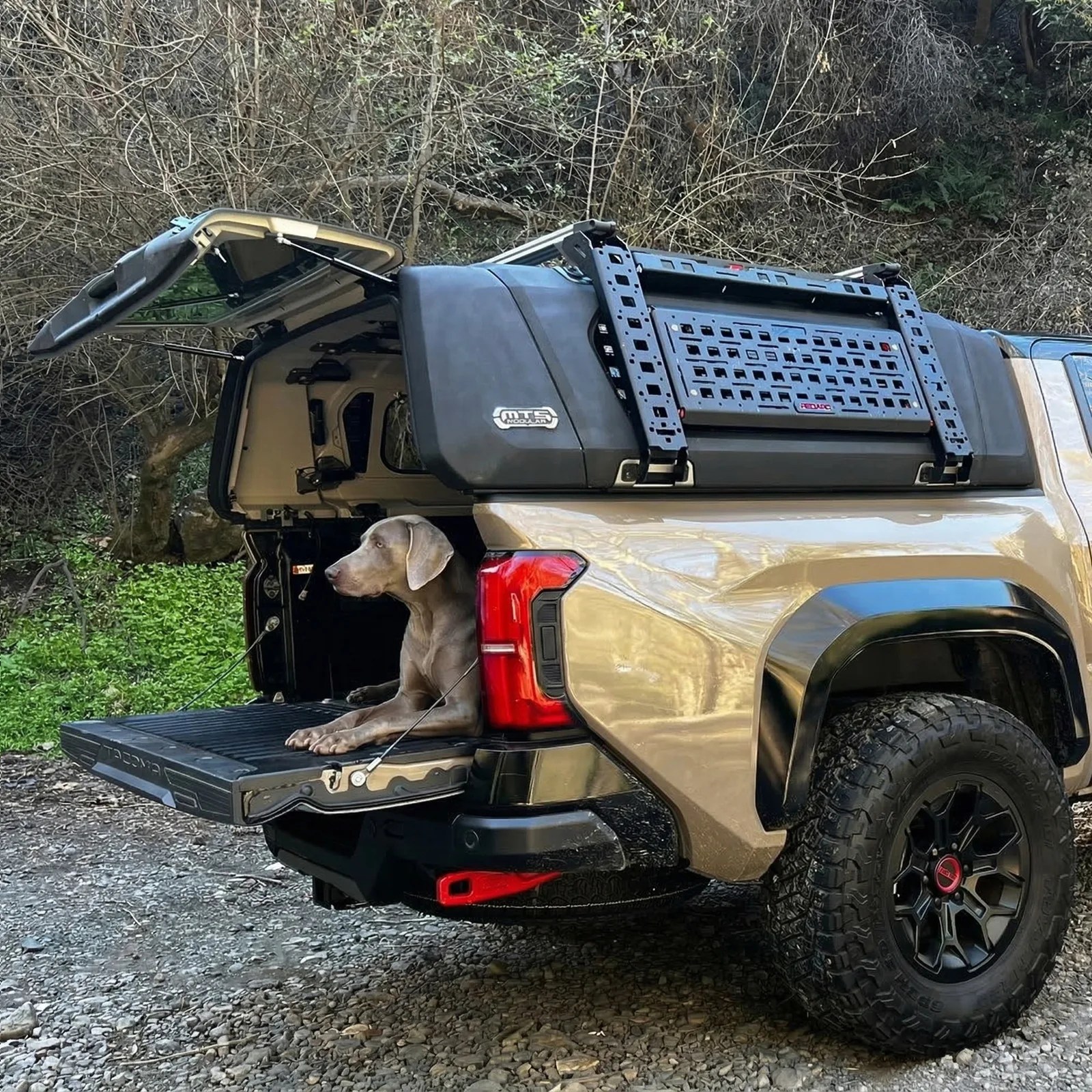 Tan pickup truck with black off-road tires and a black modular camper shell, with a dog lying on the open tailgate.