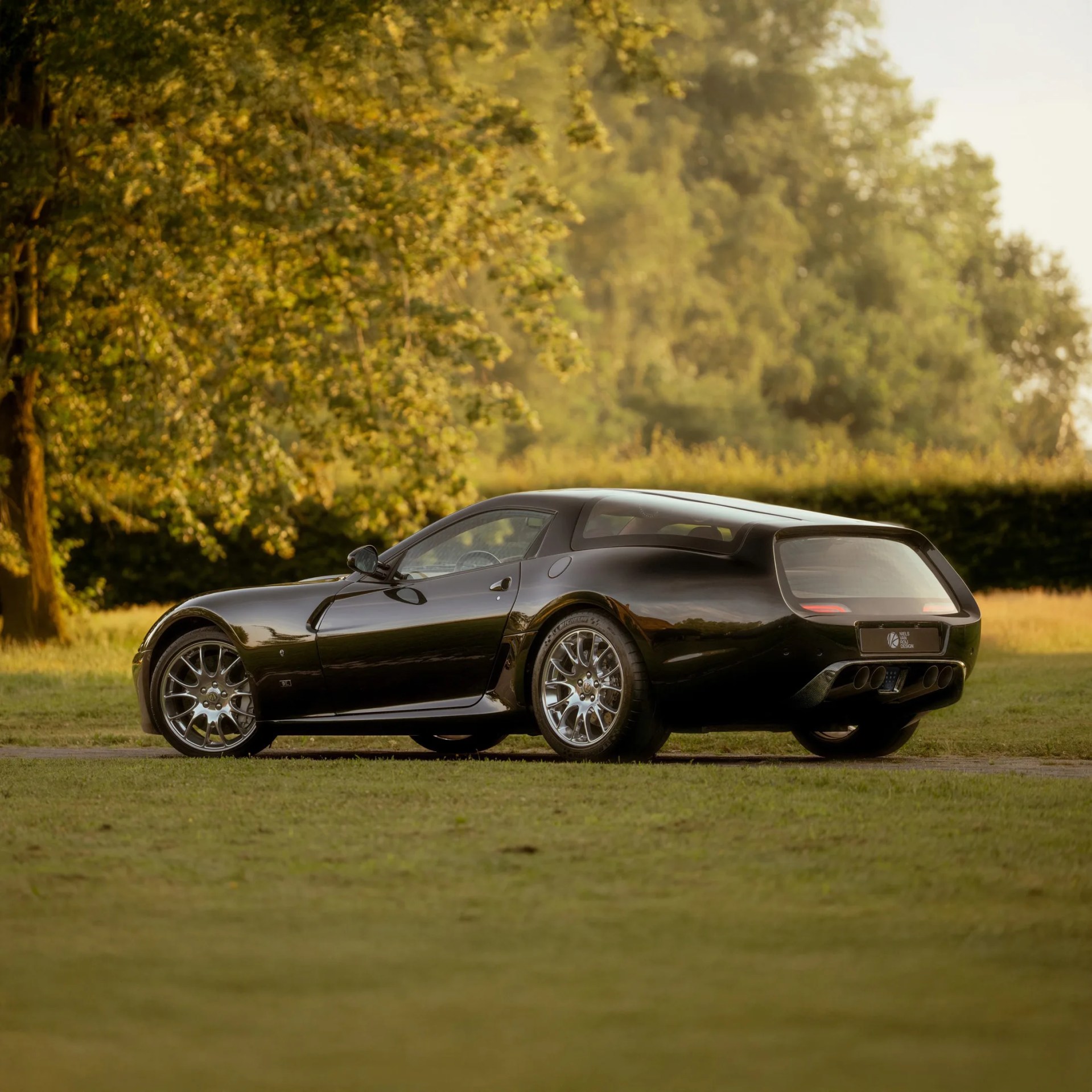 Glossy black sports car with silver multi-spoke wheels parked on grass near trees.