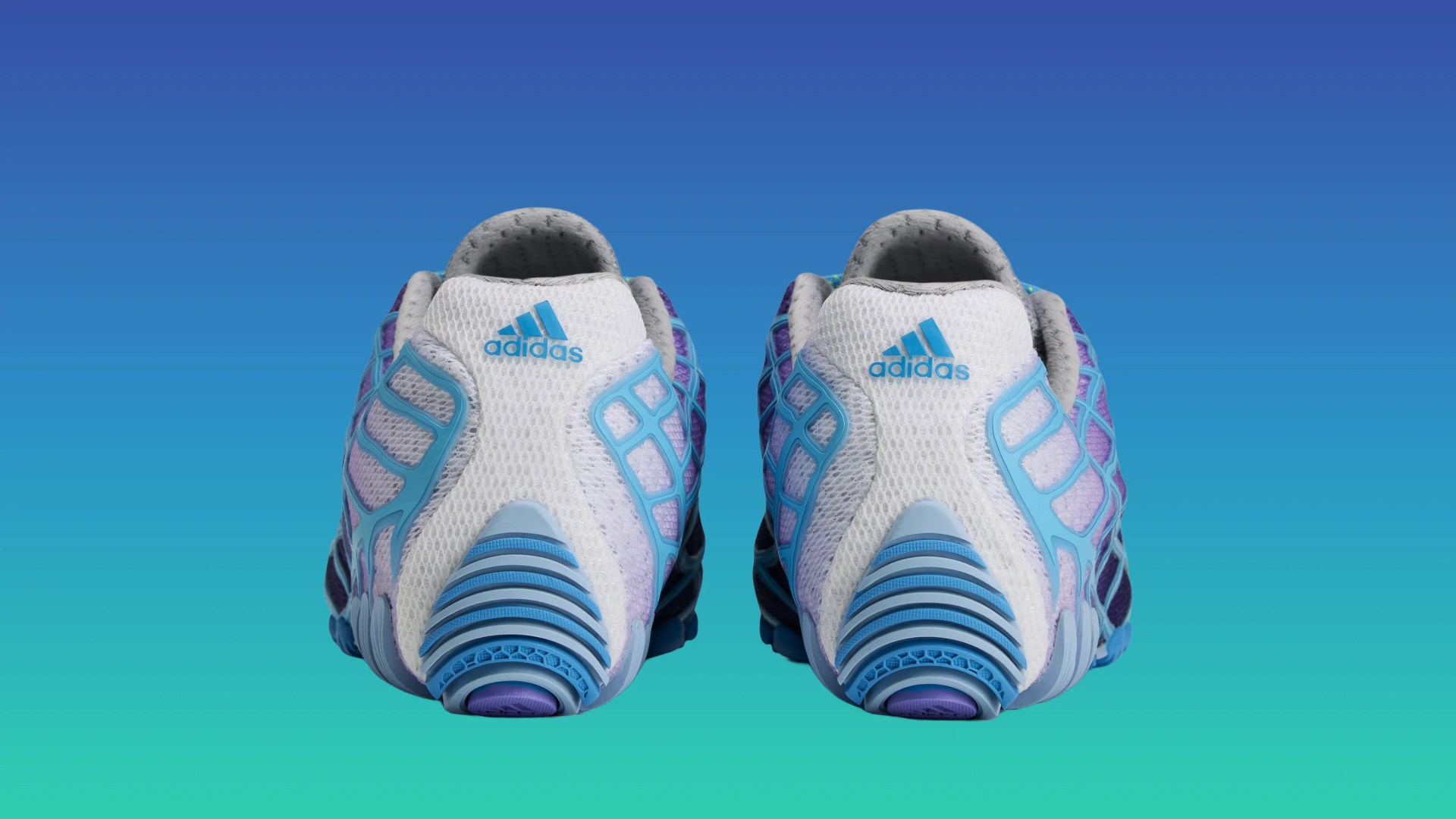 Pair of white and blue Adidas running shoes viewed from the back against a blue gradient background.