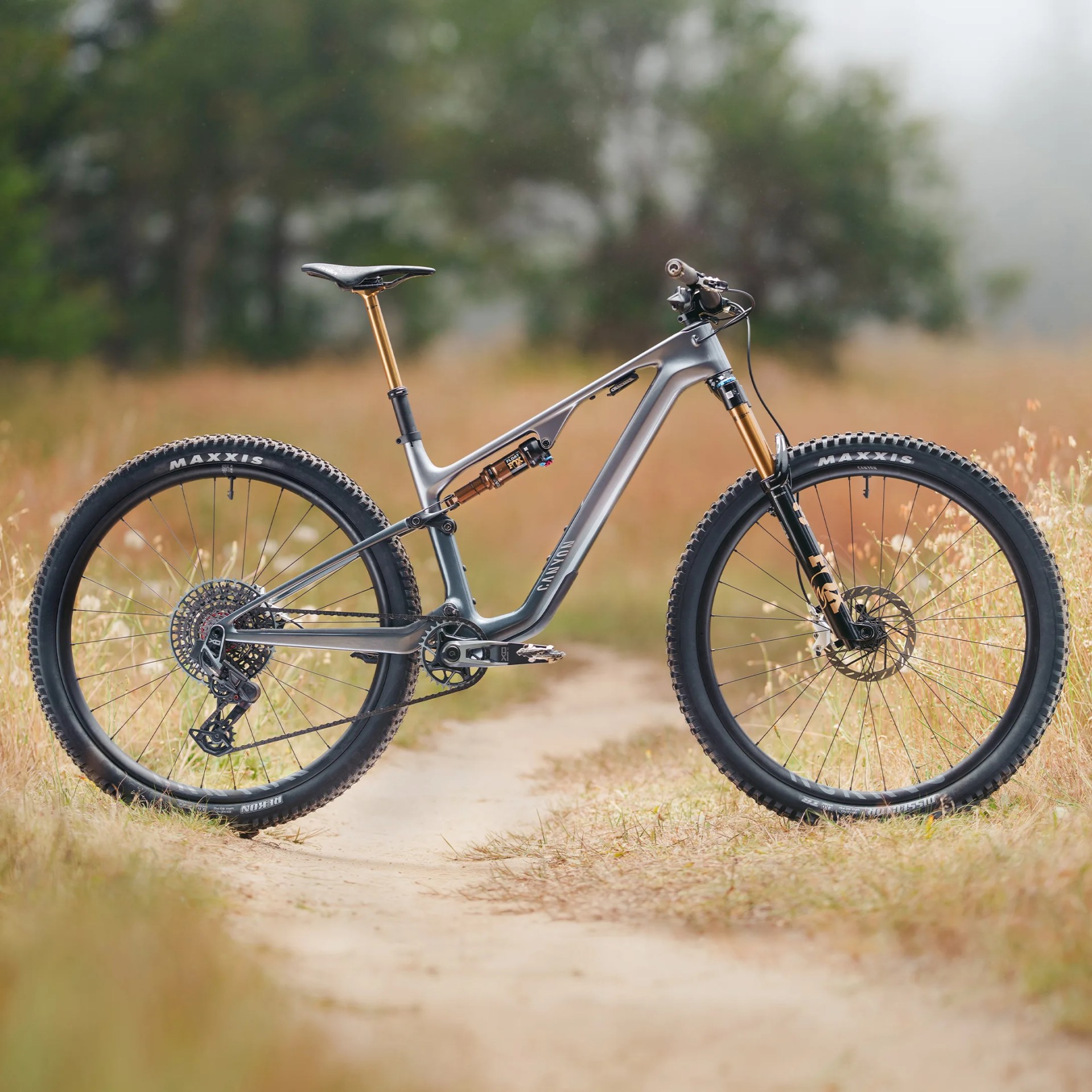 Gray Canyon mountain bike with gold suspension forks and Maxxis tires on a dirt trail.