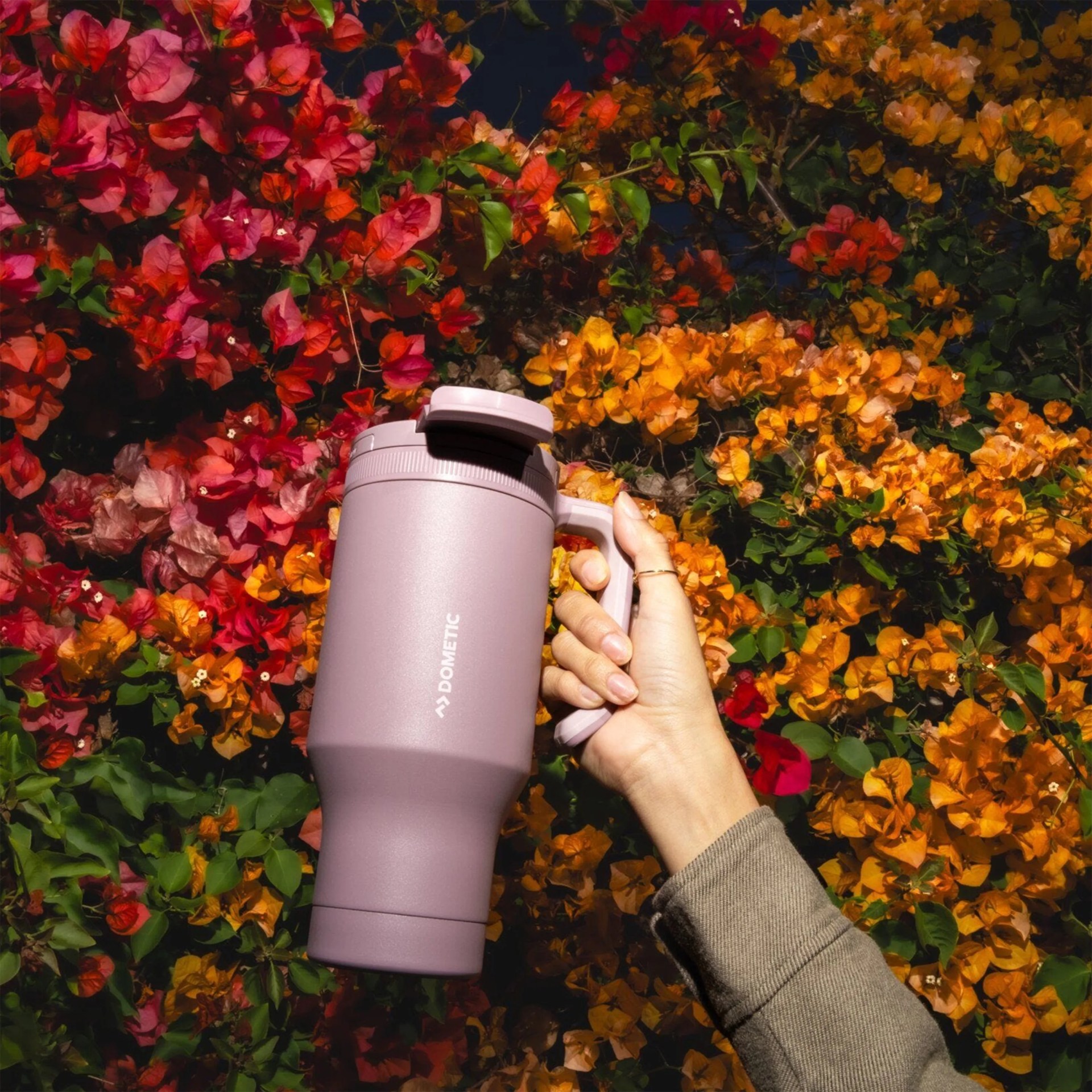 Hand holding a large mauve Dometic insulated tumbler against a backdrop of red and orange flowers.