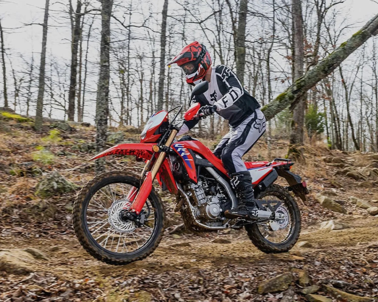 Person wearing black and white motocross gear riding a red Honda dirt bike on a rocky forest trail.