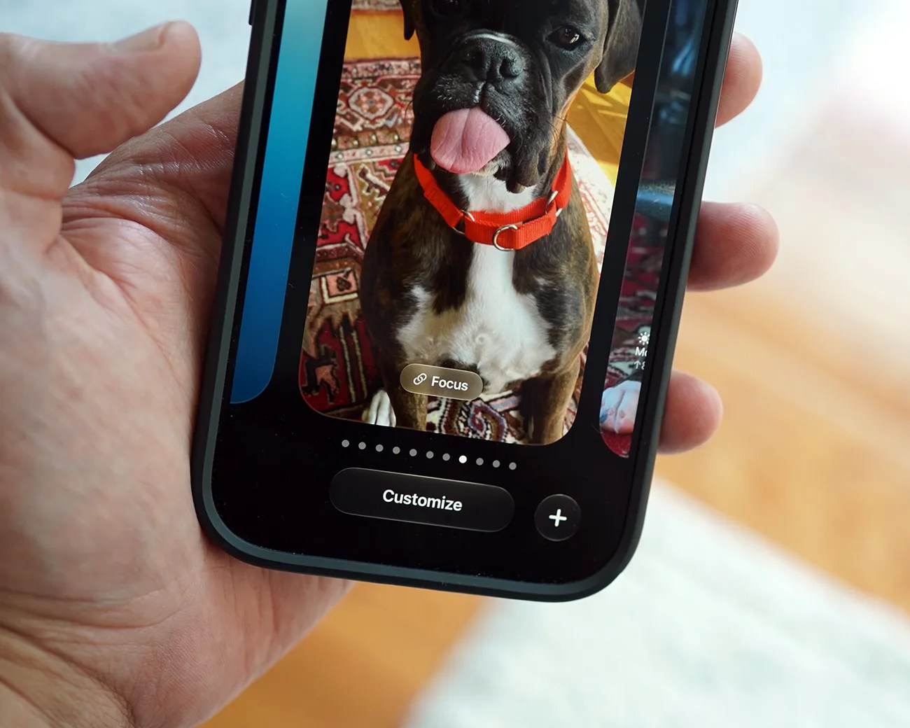 Hand holding a smartphone displaying a photo of a brindle dog with a red collar sticking its tongue out.