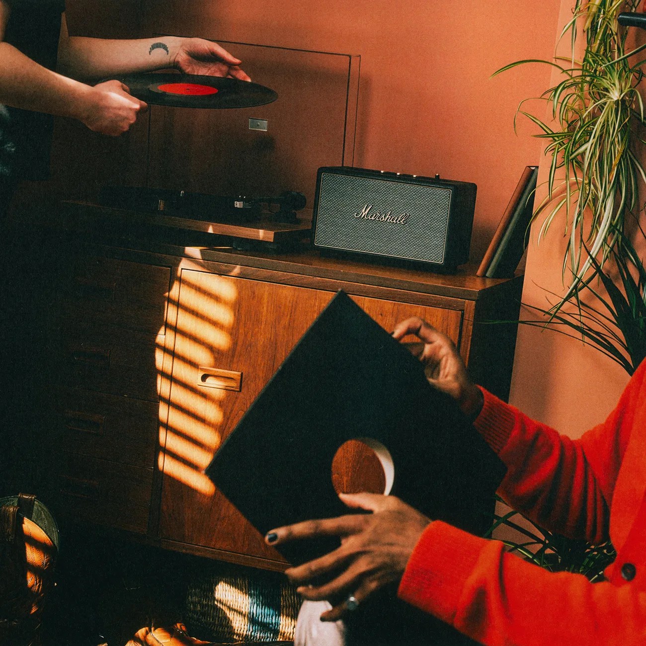 Person holding a vinyl record near a wooden cabinet with a Marshall speaker and plants in warm lighting.
