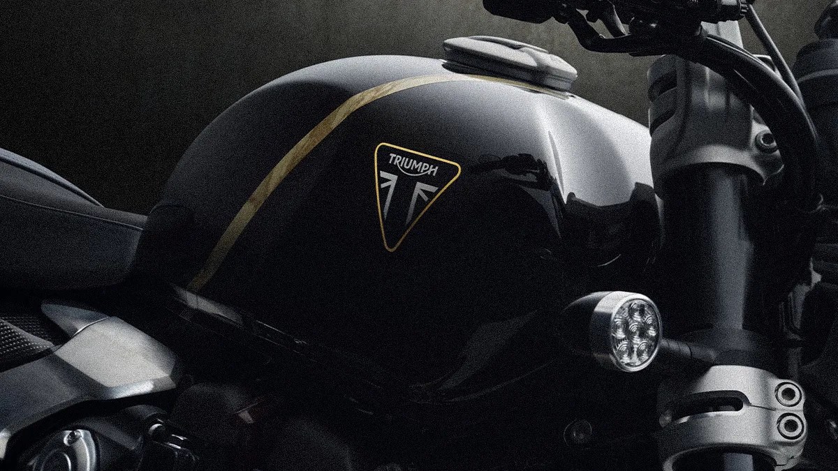Close-up of a black Triumph motorcycle fuel tank with a gold stripe and logo.
