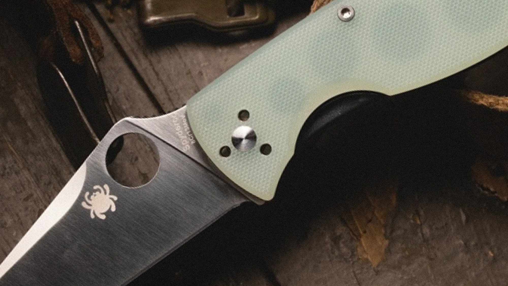 Close-up of a folding knife with a textured light green handle and a partially serrated stainless steel blade featuring a round hole and a spider logo.