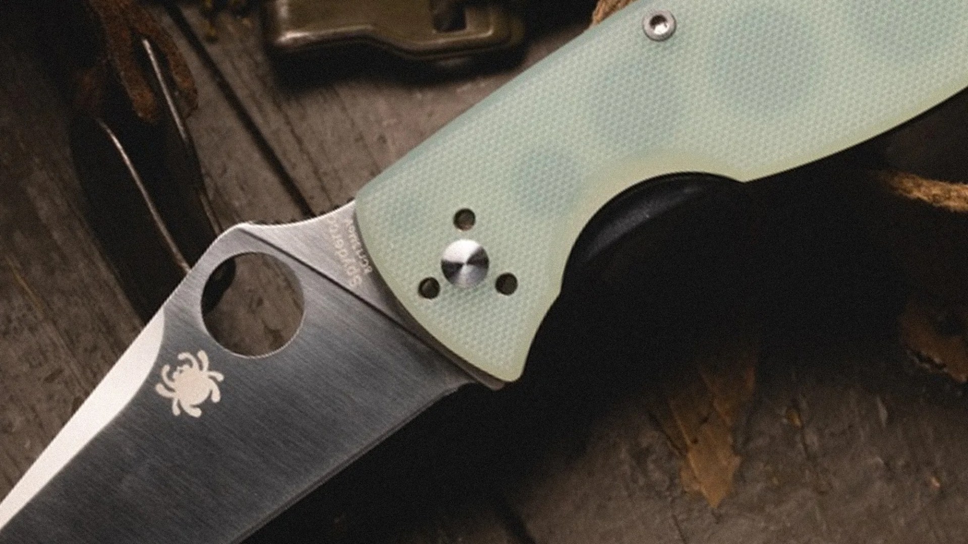 Close-up of a folding knife with a textured light green handle and a partially serrated stainless steel blade featuring a round hole and a spider logo.