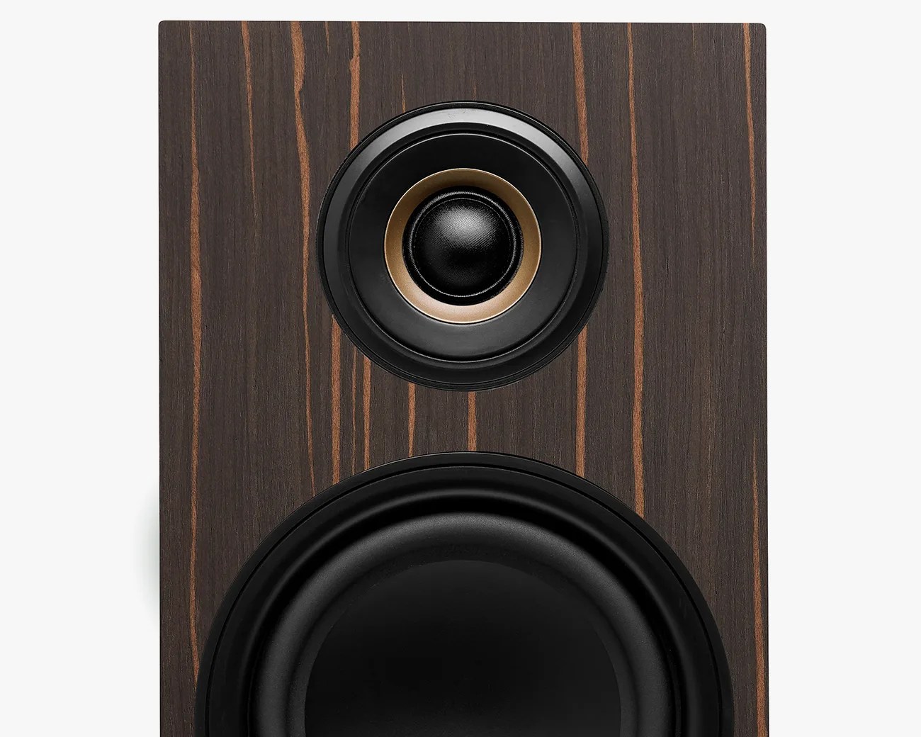 Close-up of a dark wood grain speaker cabinet featuring a black and gold tweeter above a large black woofer.
