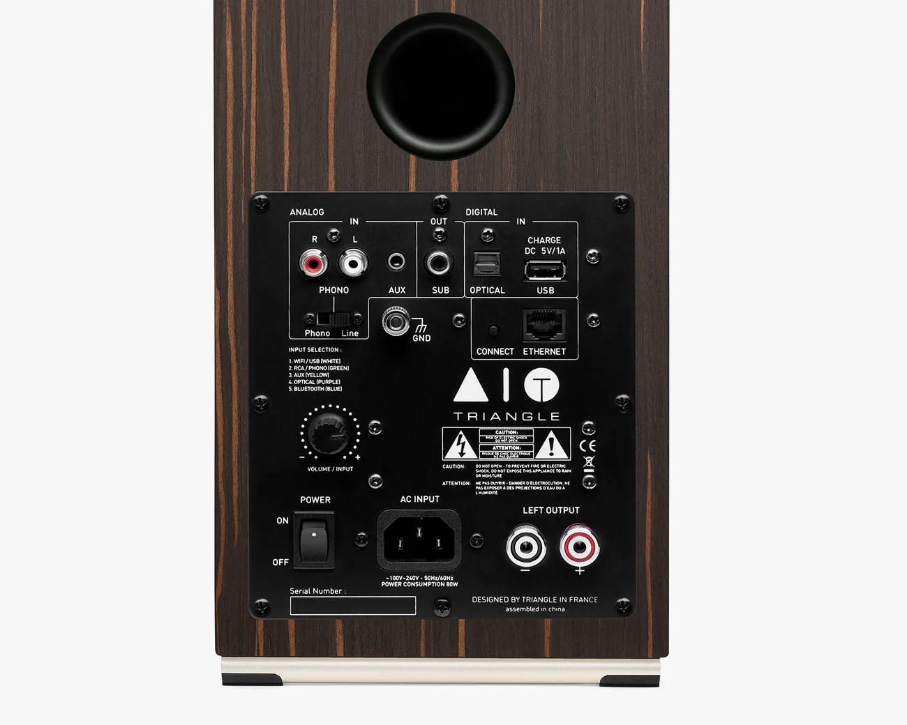 Back panel of a wooden speaker with analog and digital inputs, volume knob, power switch, and various output ports.