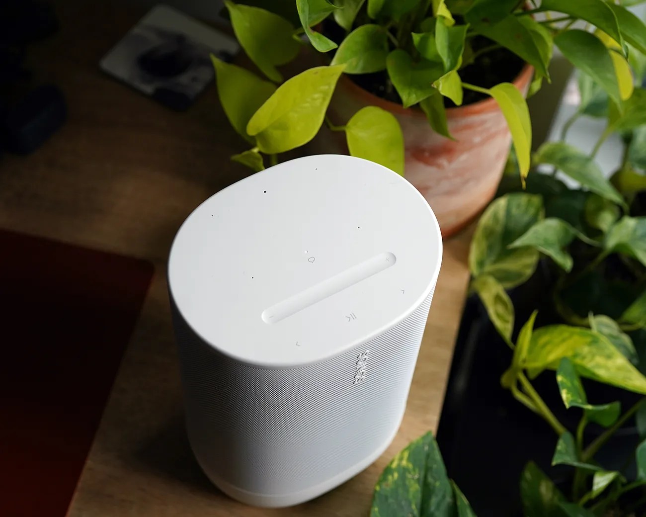 White cylindrical smart speaker with touch controls on top, placed on a wooden surface near green potted plants.